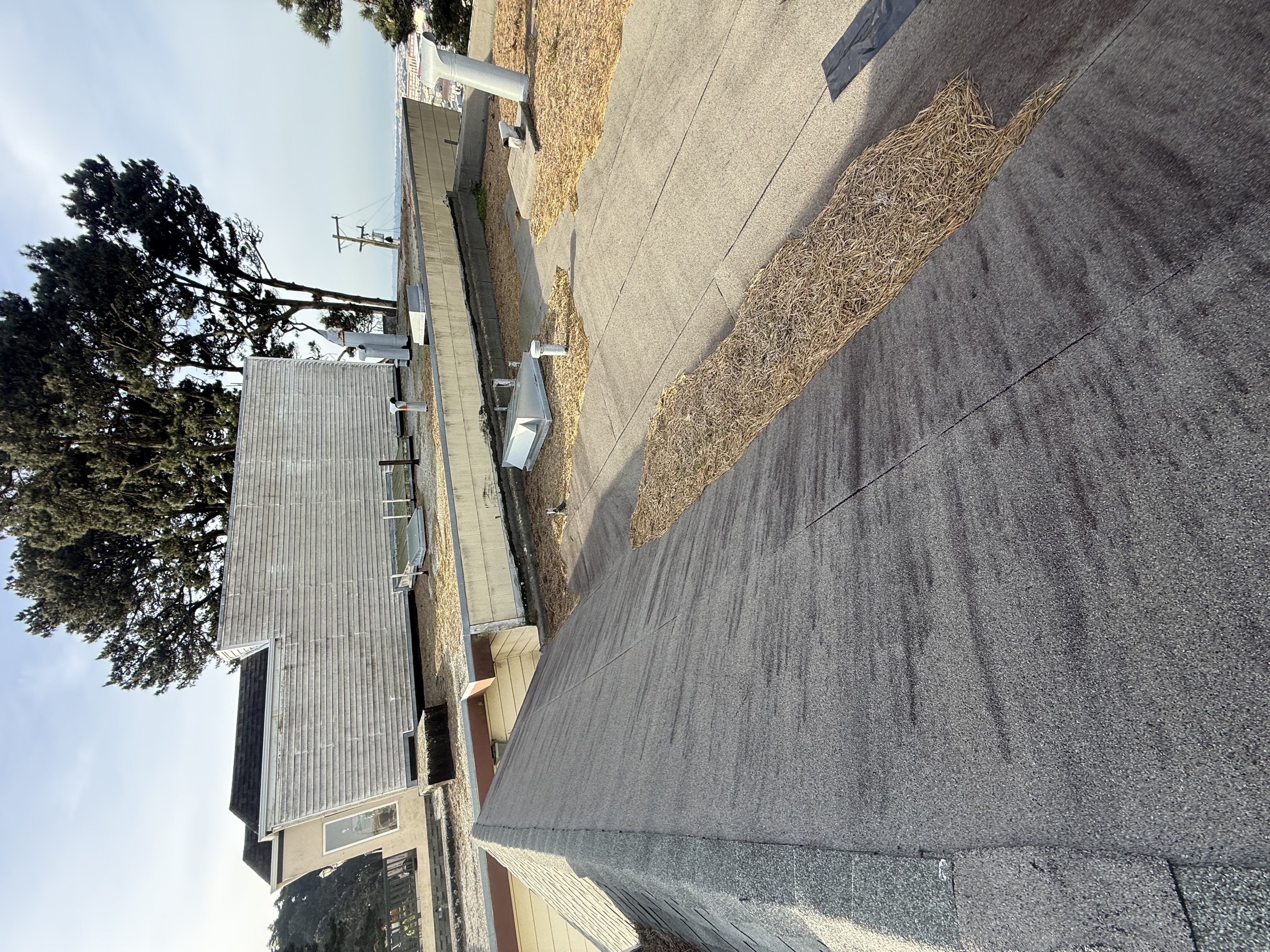 Before — San Francisco gutter filled with leaves and compacted debris