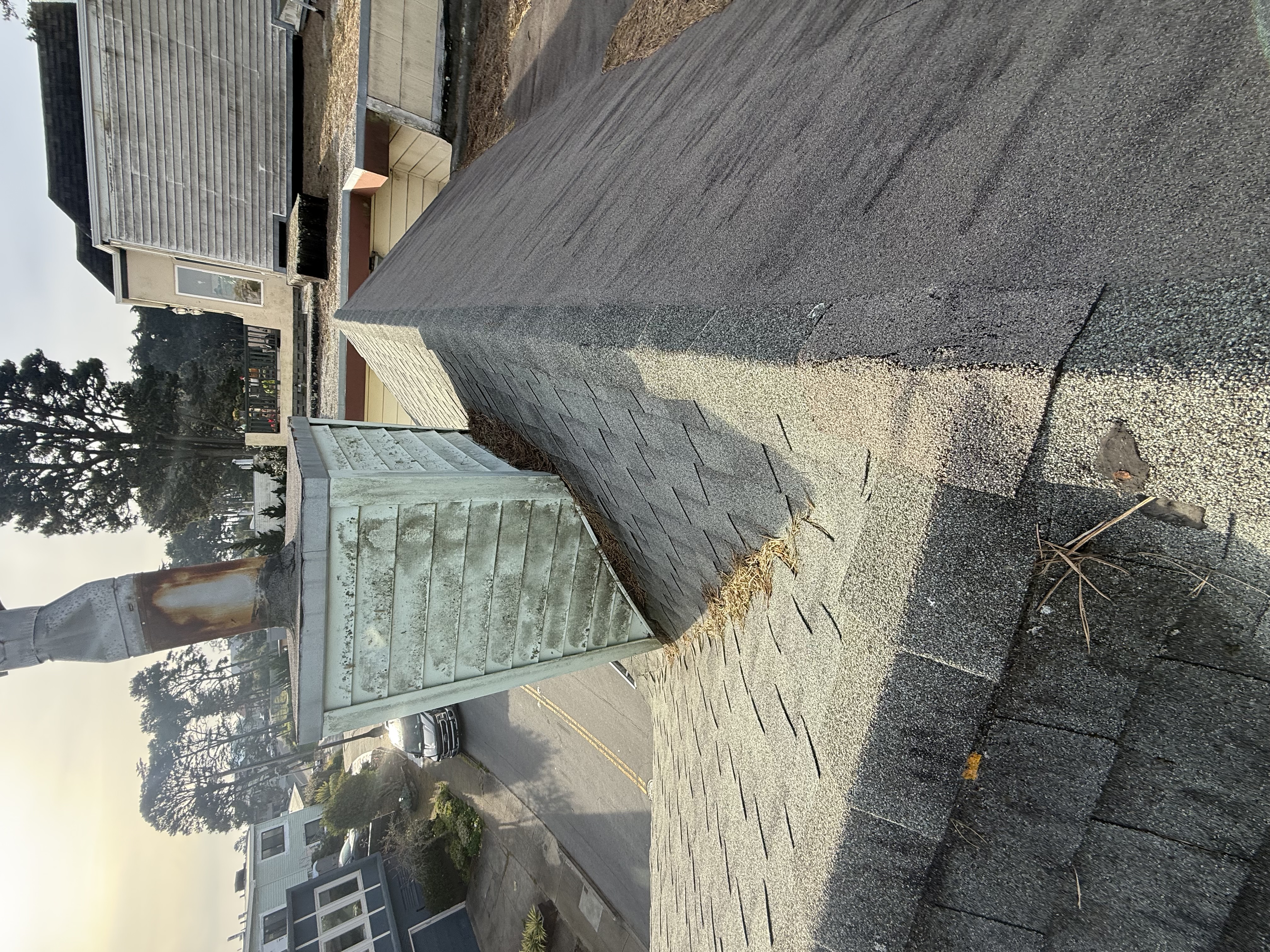 Before — San Francisco roof surface with moss and organic material