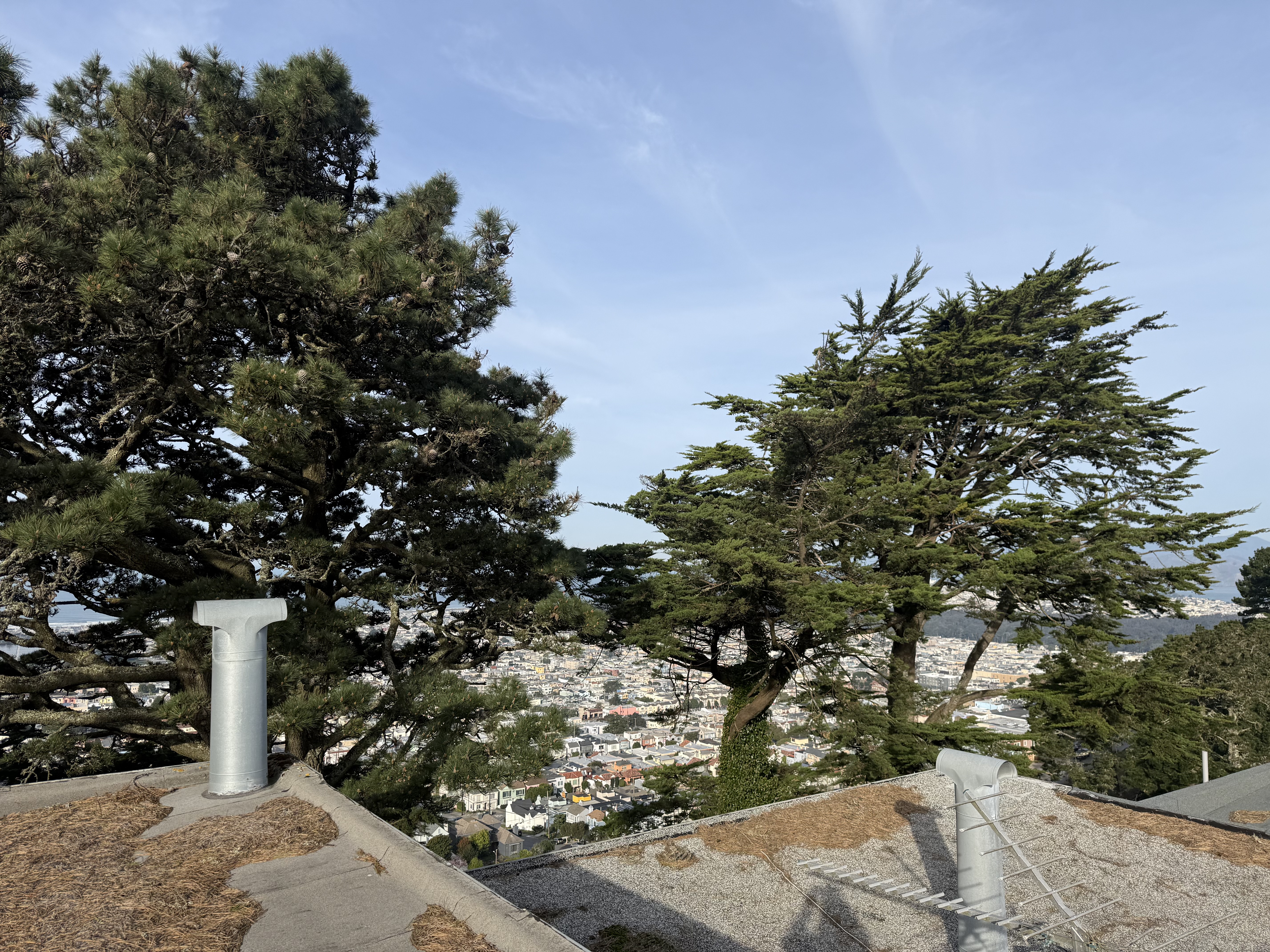 Before — San Francisco roof valley with debris accumulation before cleaning