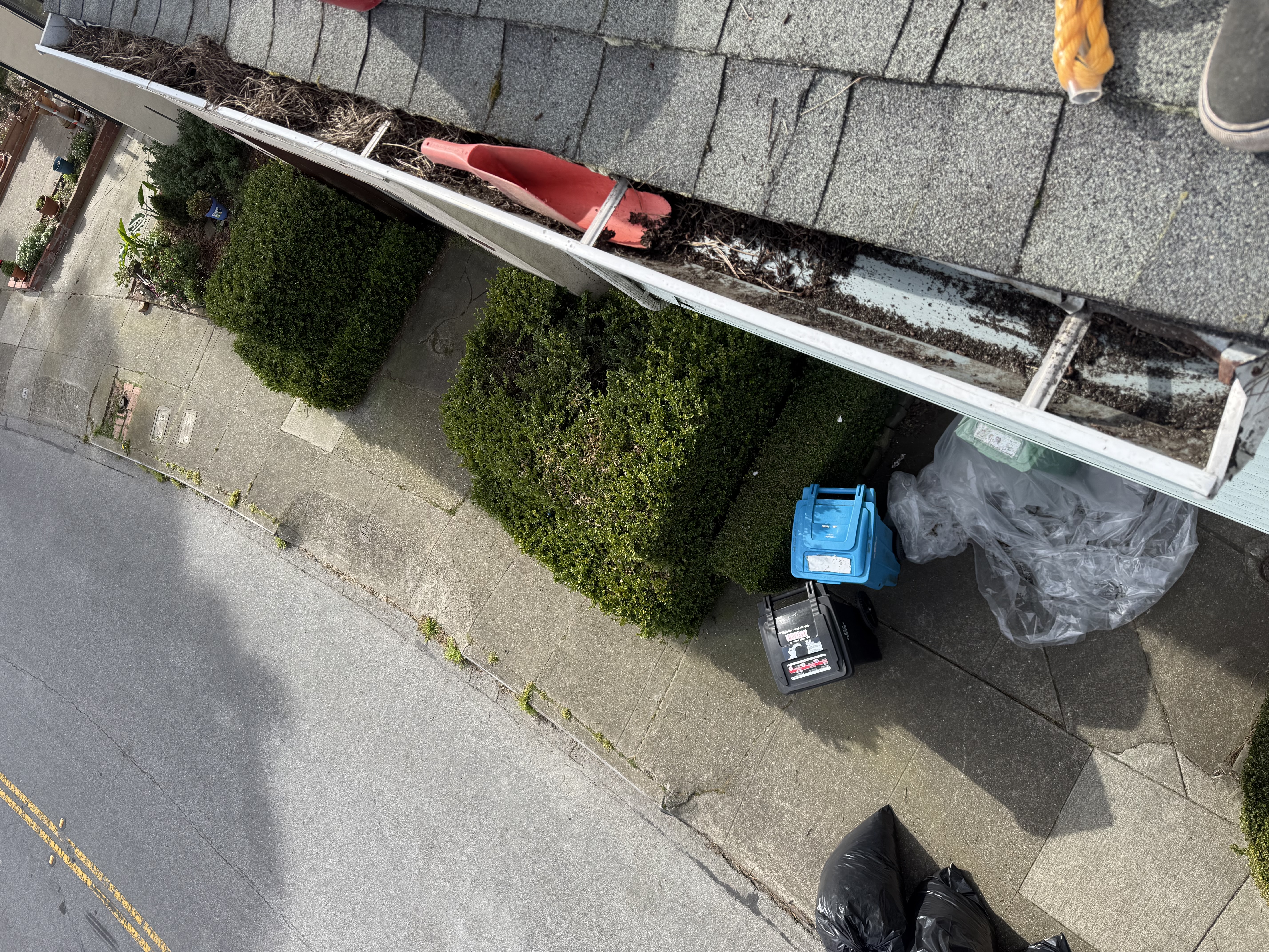 Before — San Francisco roof with blocked drainage and heavy debris load