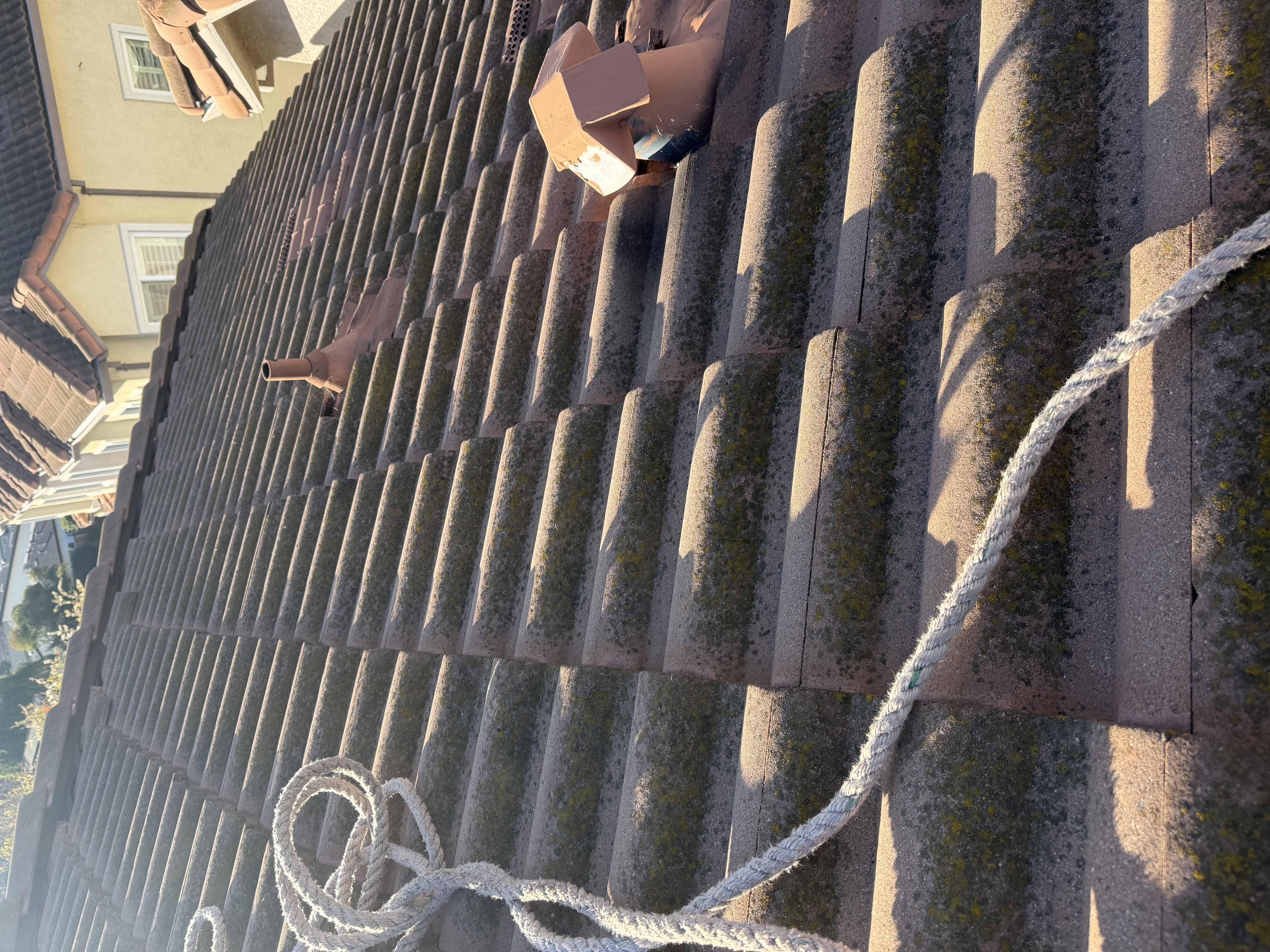 Before — San Jose concrete S-tile roof with algae streaking and moss buildup