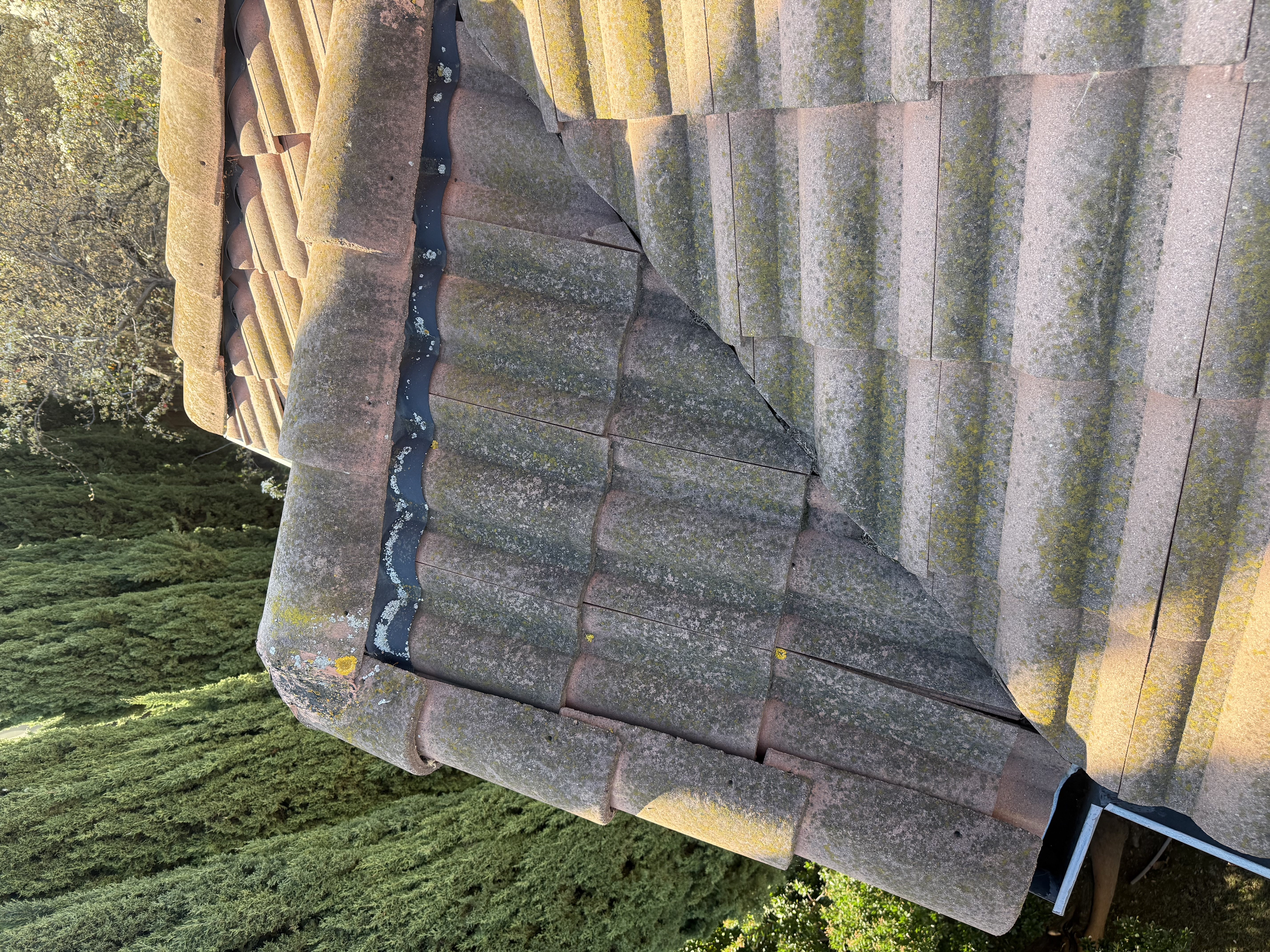 Before — San Jose S-tile roof with dark algae coverage on north-facing plane