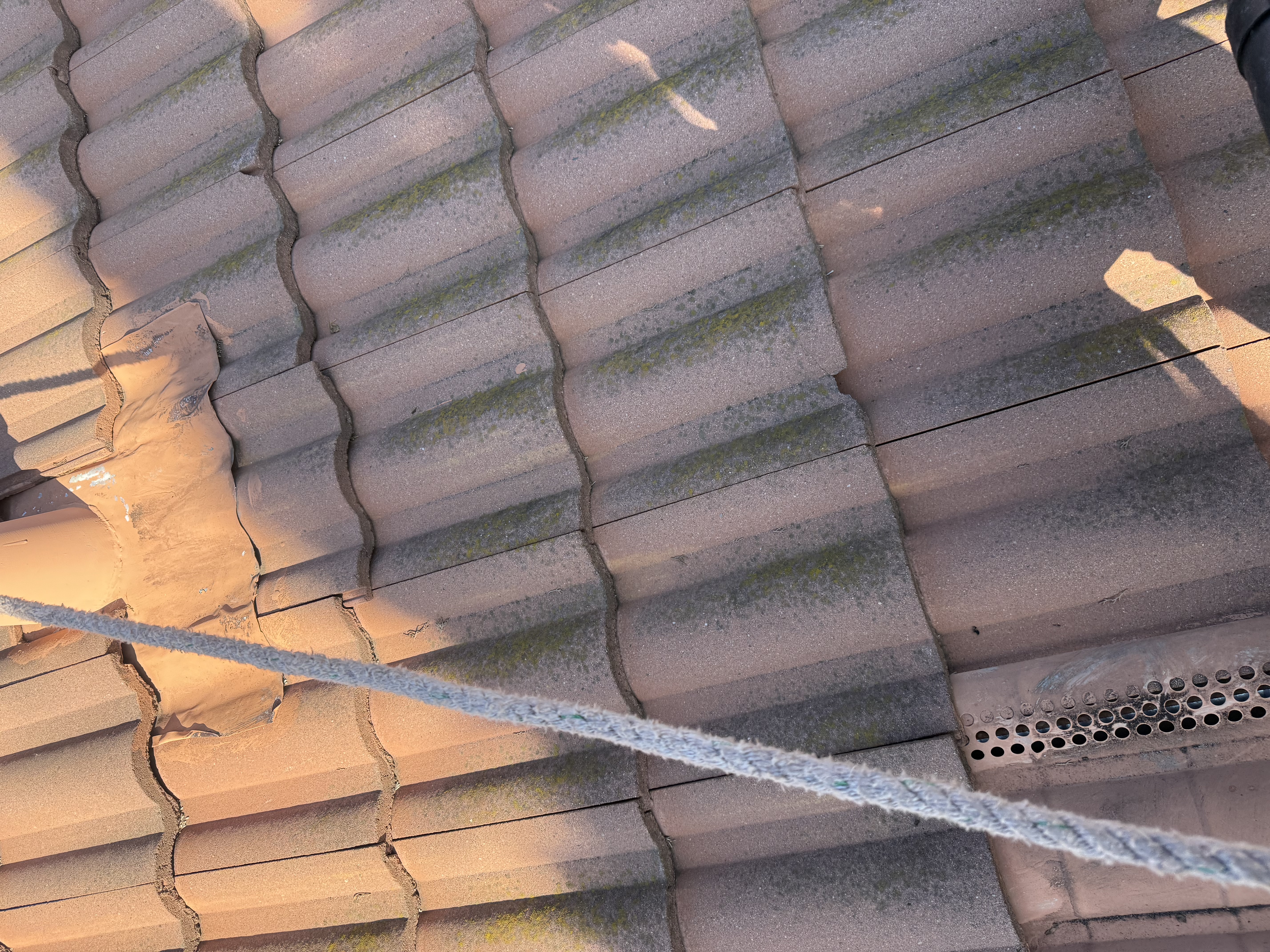 Before — Wide view of San Jose concrete S-tile roof with widespread algae
