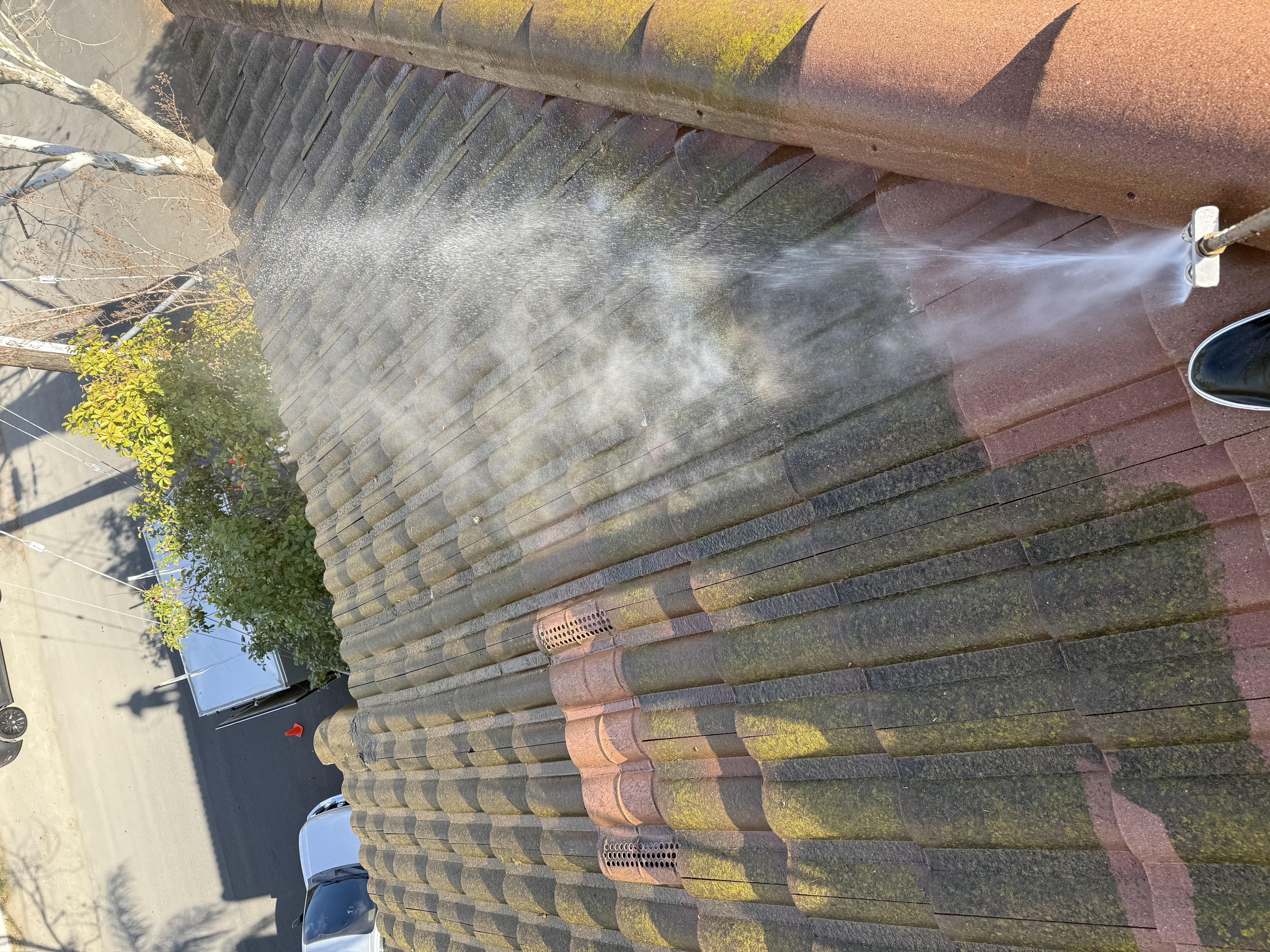Before — San Jose S-tile roof ridge line with heavy moss growth