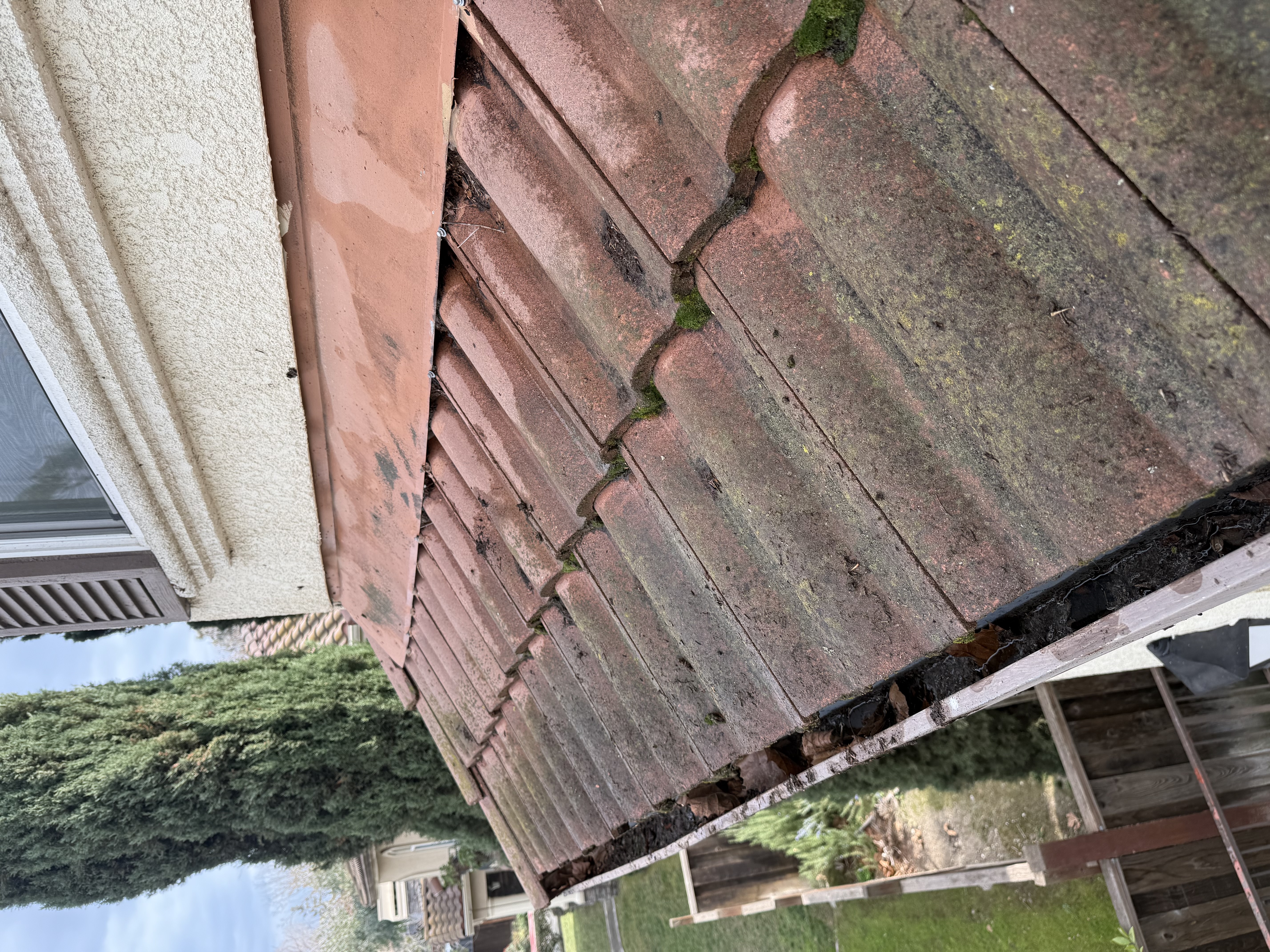 Before — San Jose concrete tile roof detail showing algae and organic staining