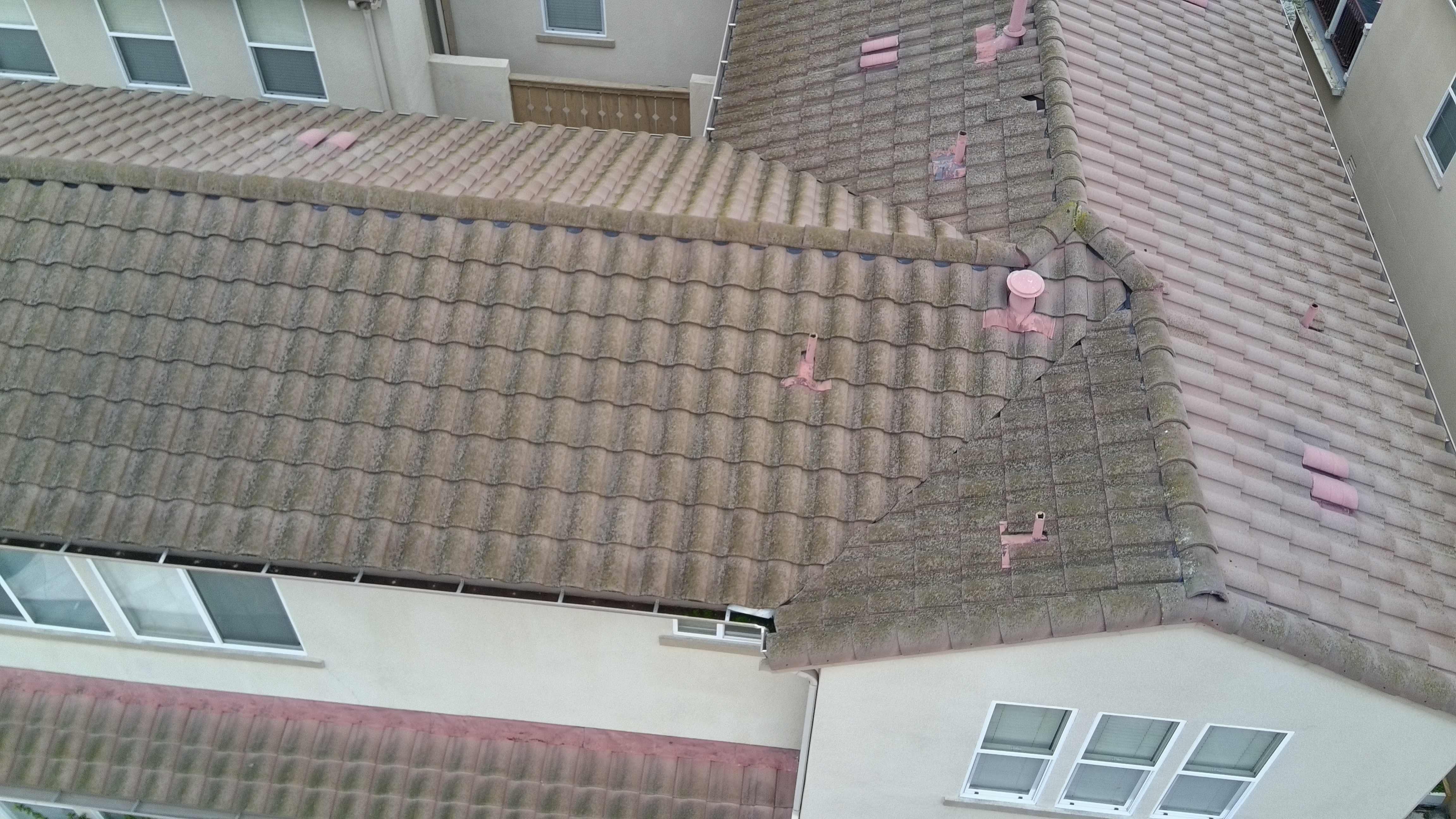 Before — San Jose S-tile roof ridge line with heavy moss growth
