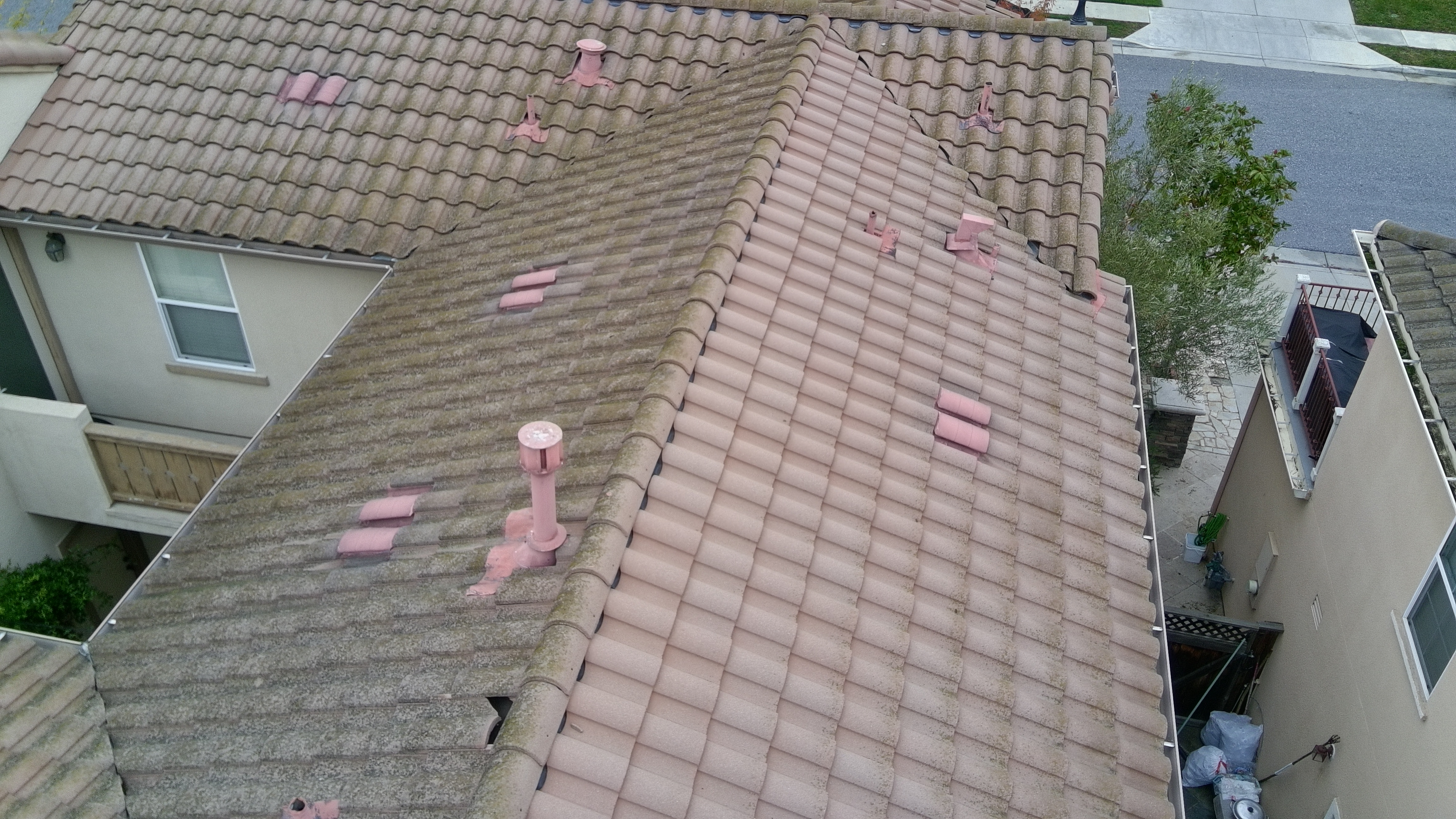 Before — San Jose concrete tile roof detail showing algae and organic staining