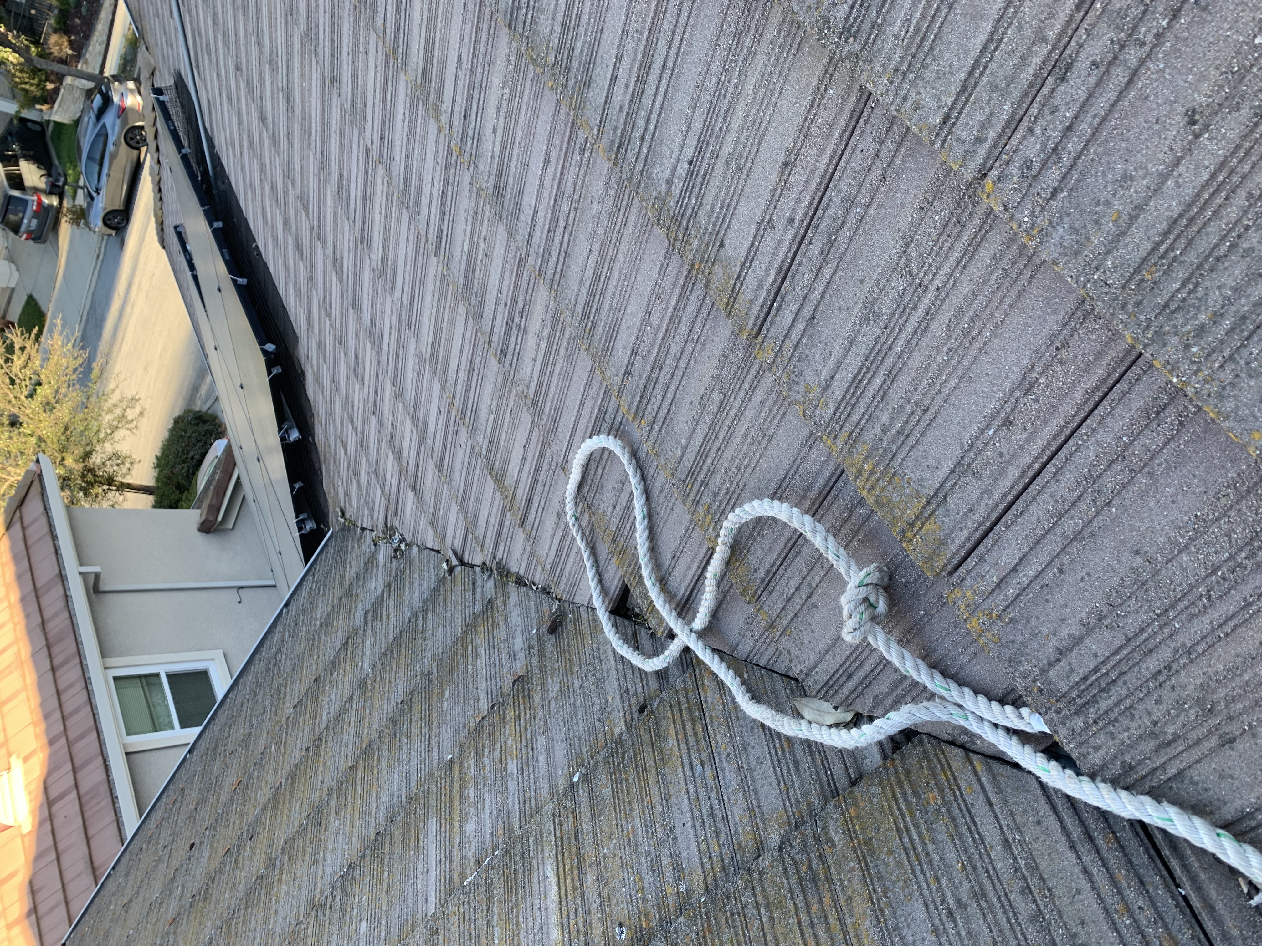 Before — San Jose flat tile roof algae streaking close-up