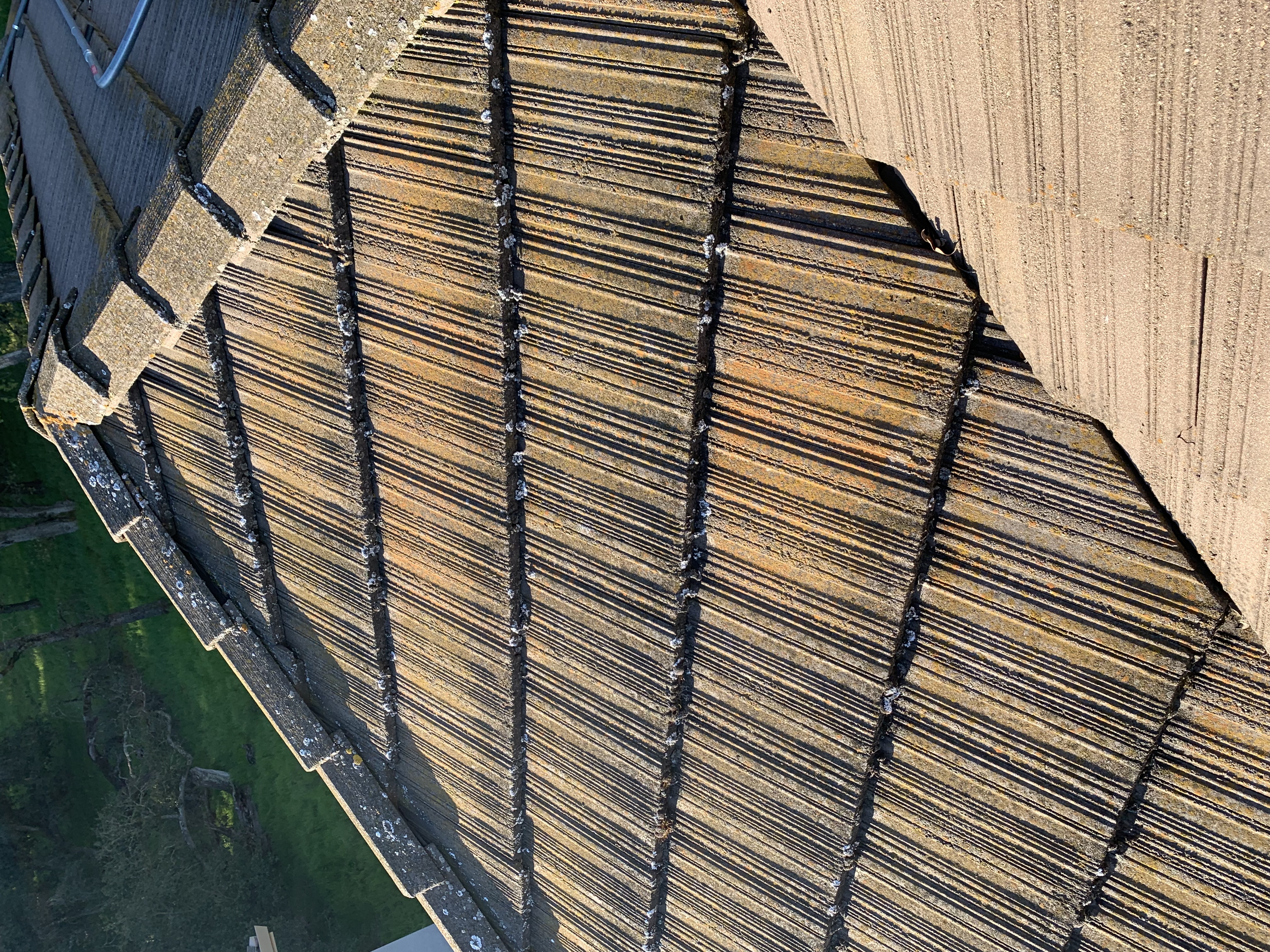 Before — Wide view San Jose flat tile roof with algae coverage