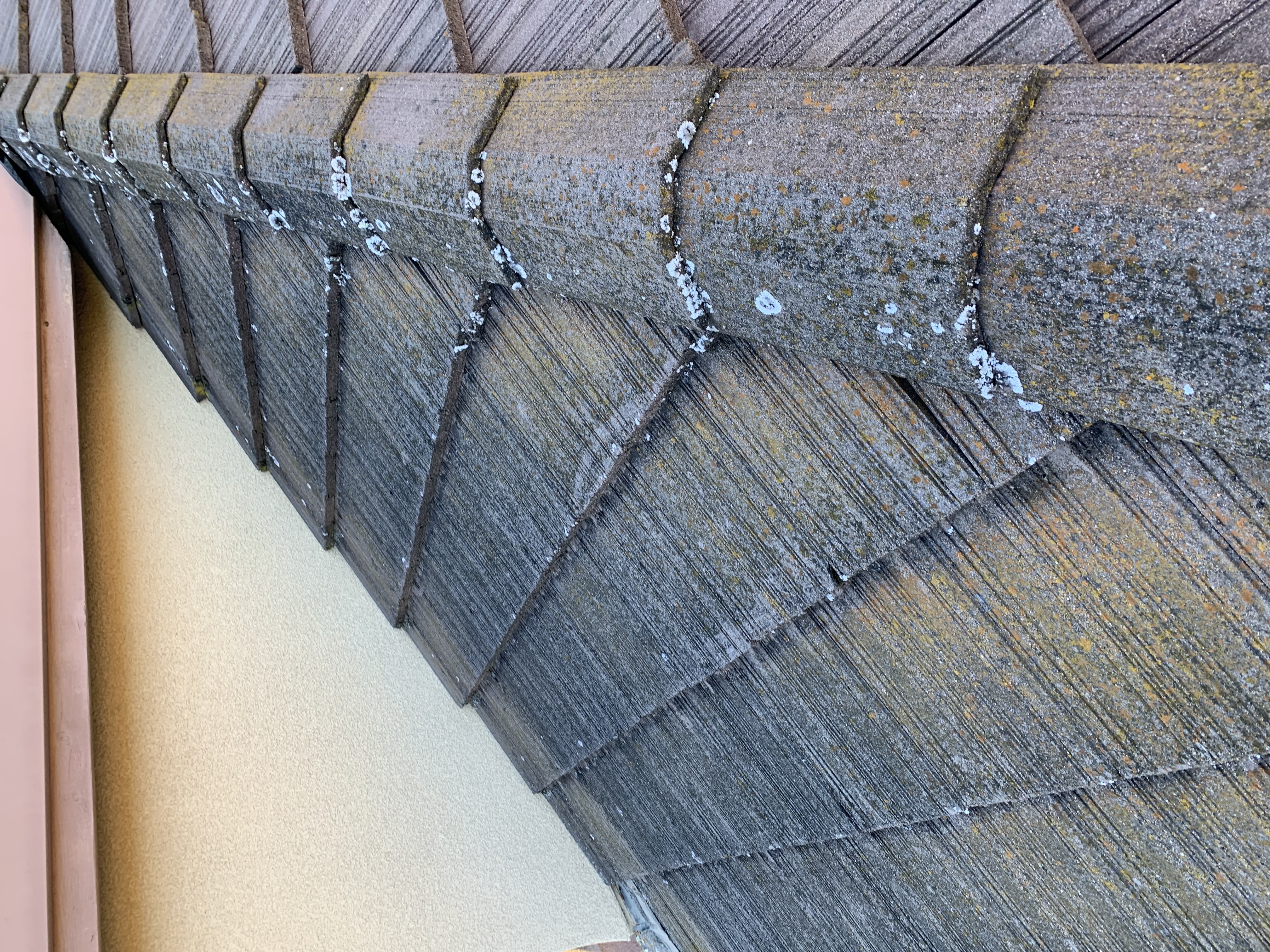 Before — San Jose flat tile roof ridge line with moss growth