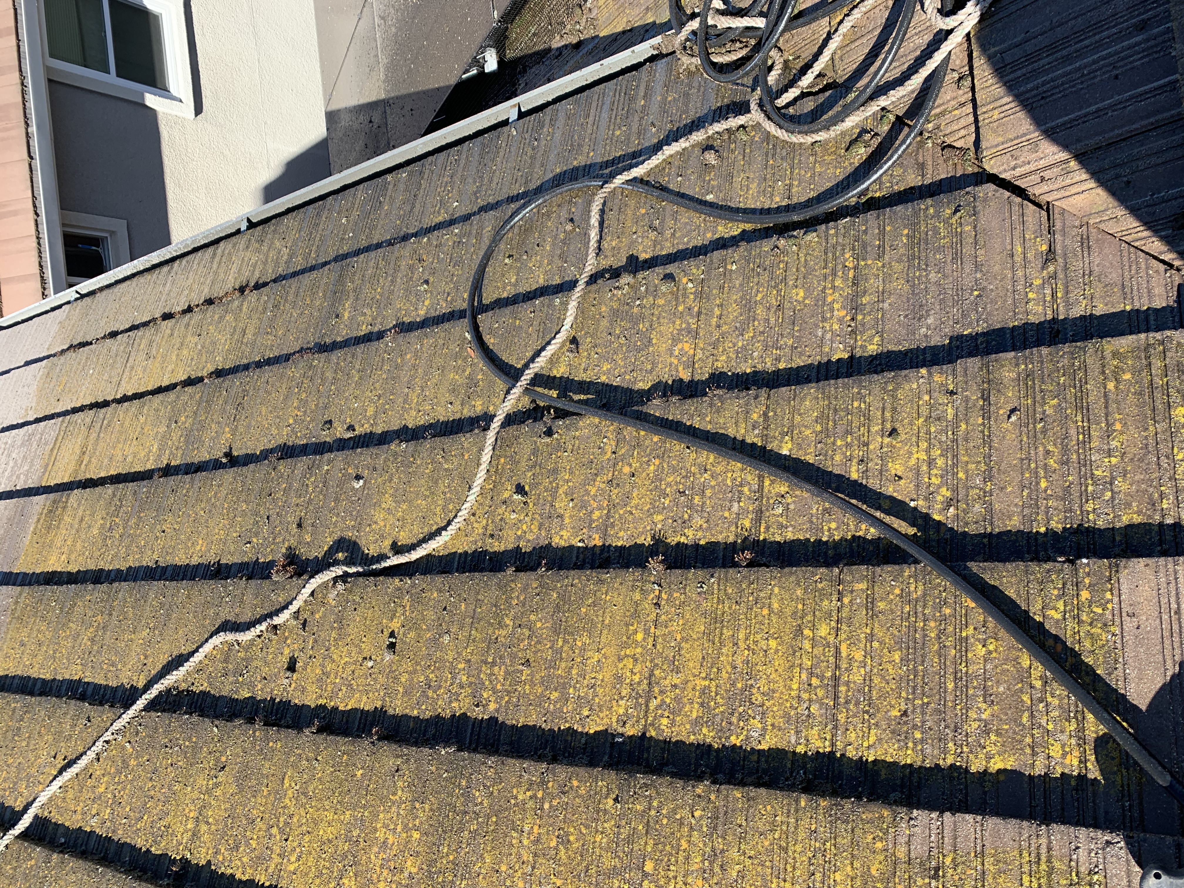 Before — San Jose flat concrete tile with organic staining and lichen
