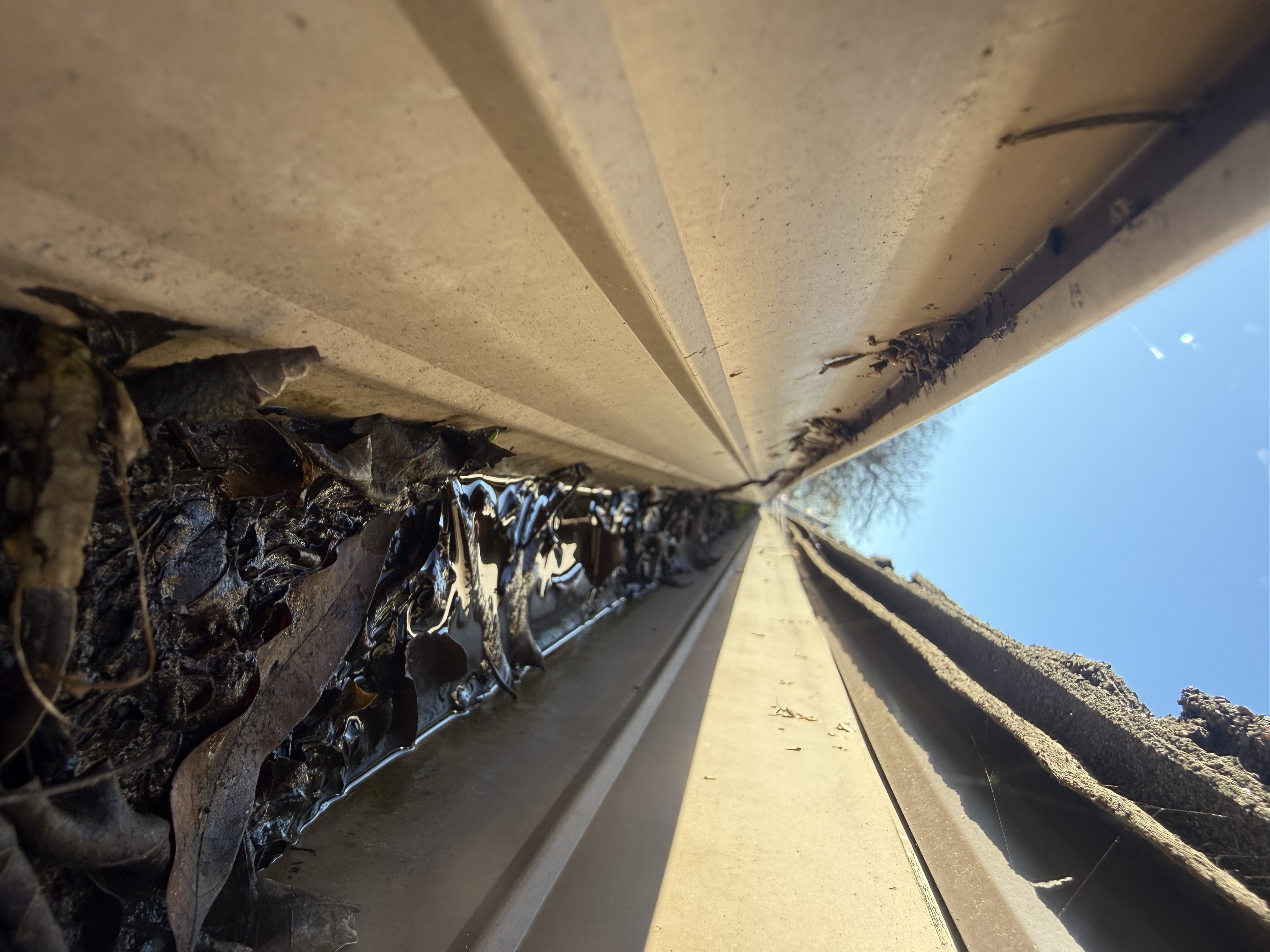 Before — San Jose gutter trough full with compacted debris and sediment