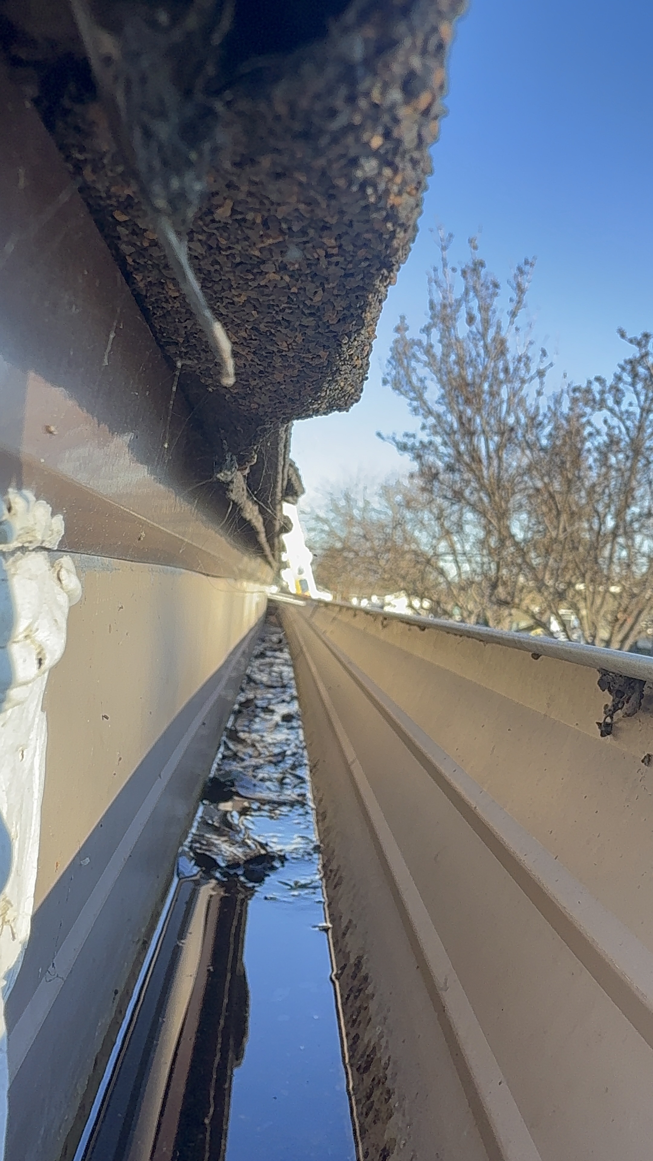 Before — San Jose gutters overflowing with packed leaves and twigs