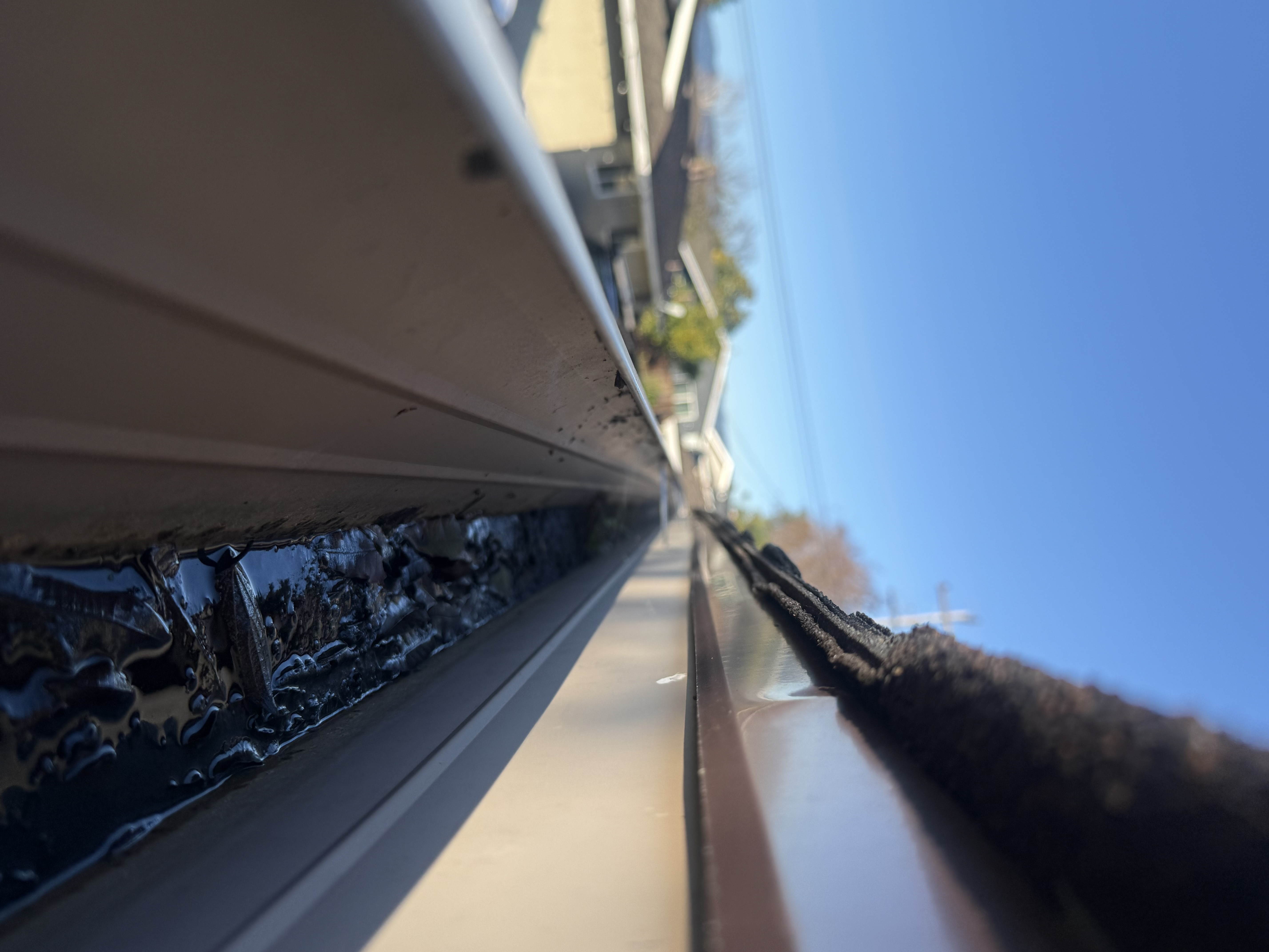 Before — San Jose gutter section blocked with packed leaf debris