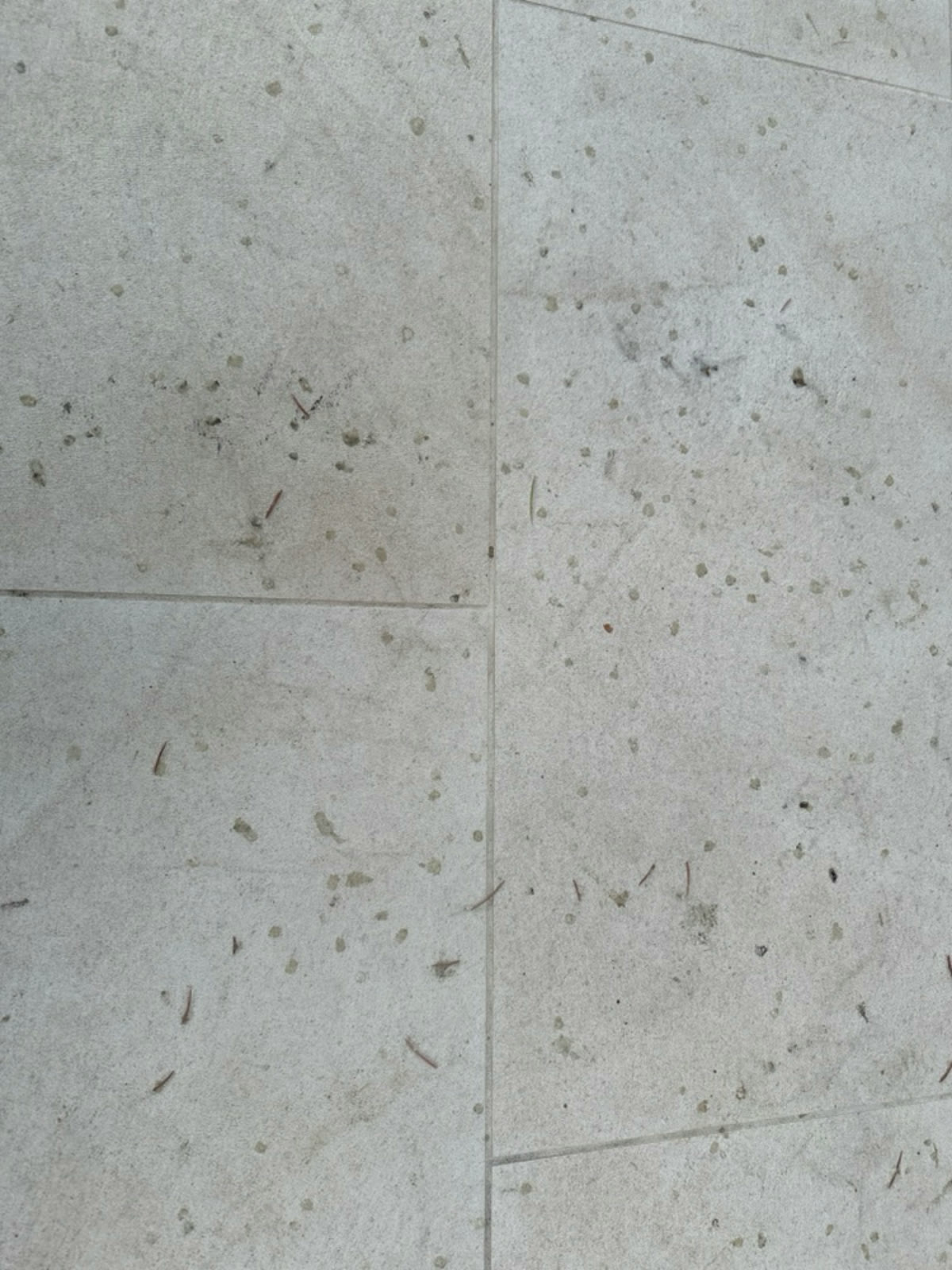 Before — light porcelain patio pavers in San Jose with tree sap drips, dark scuffs, and pine needles