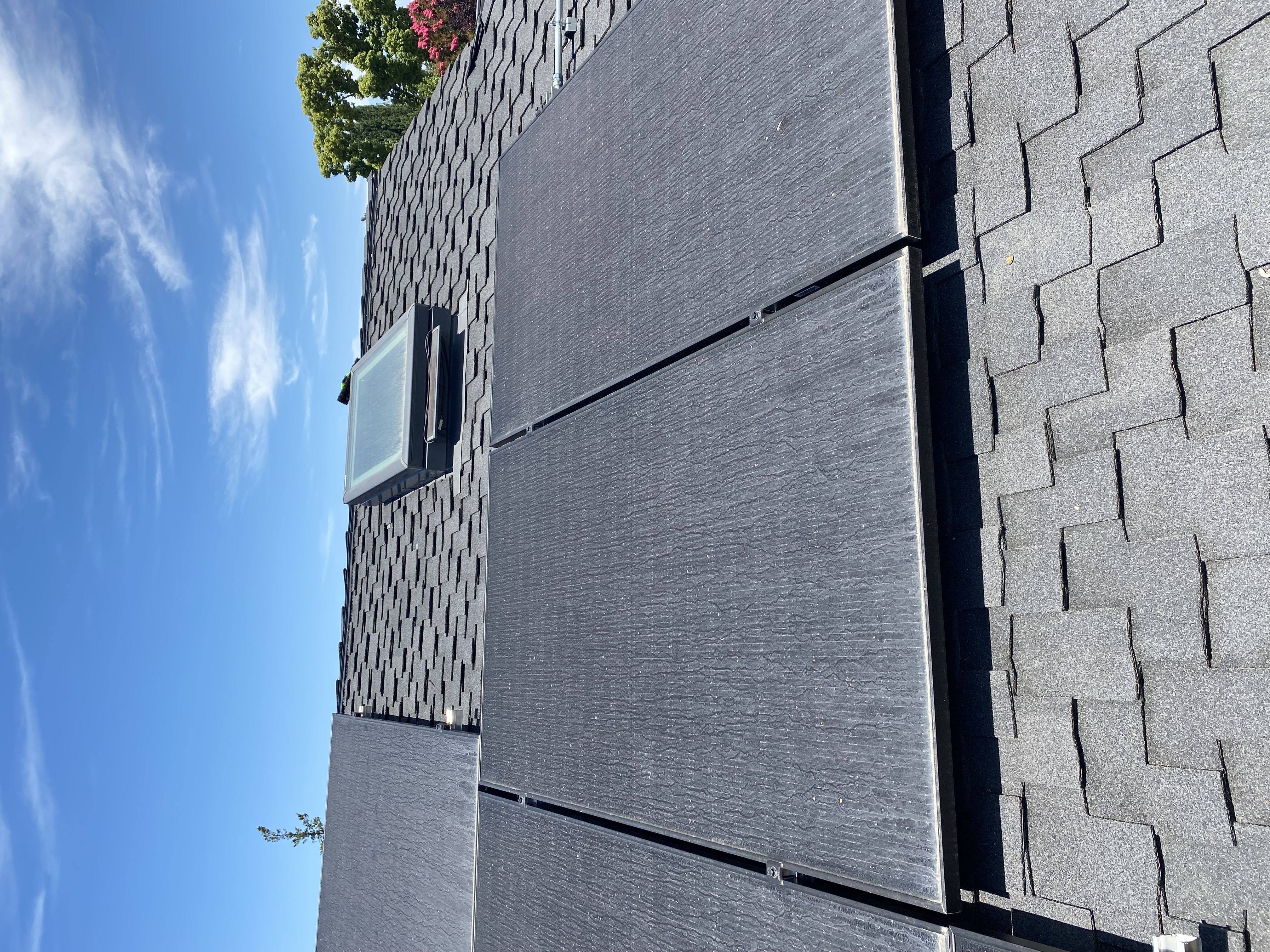 Before — San Jose solar panel array dirty with pollen and droppings
