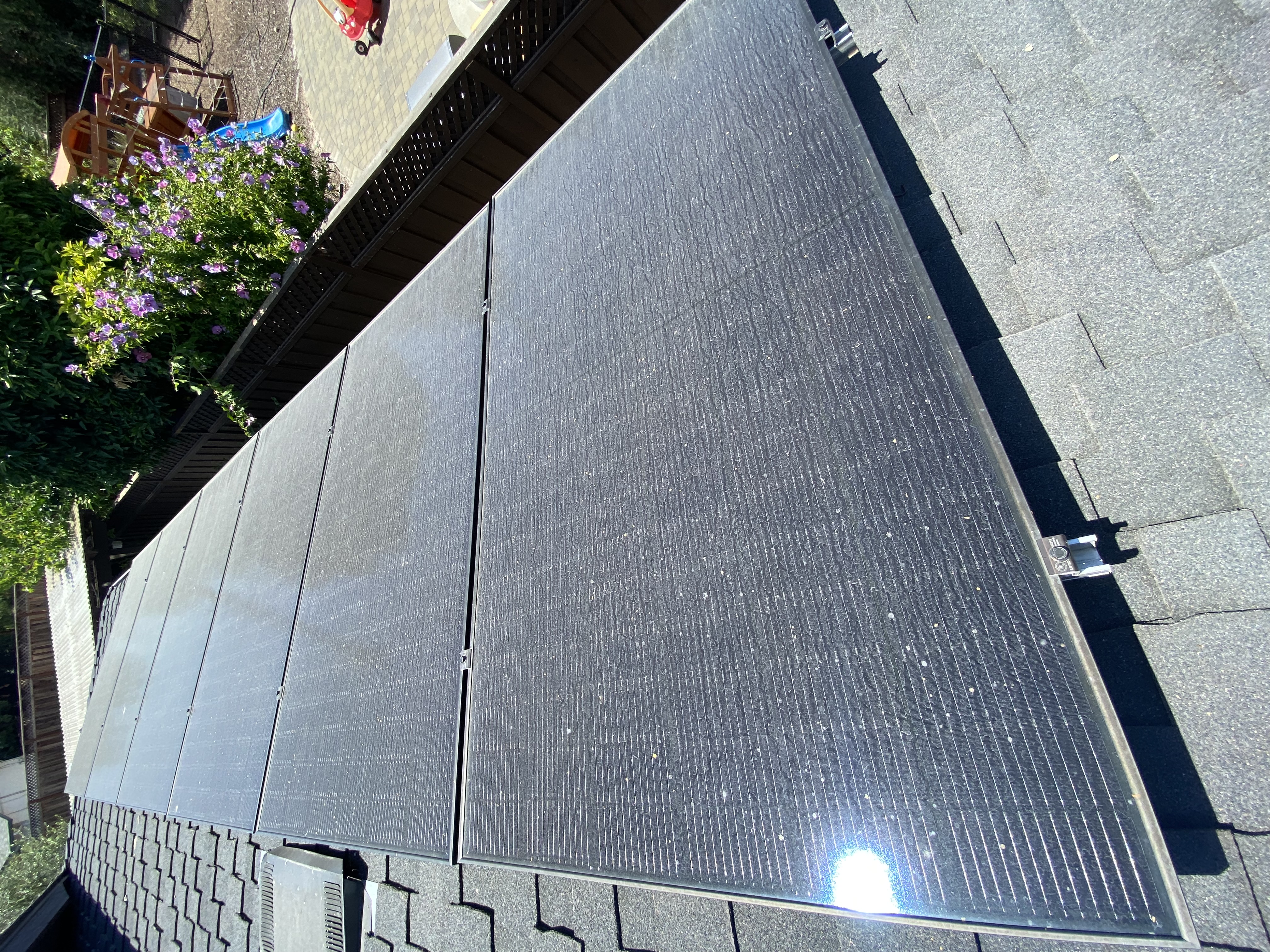 Before — San Jose solar panels showing pollen and organic film buildup