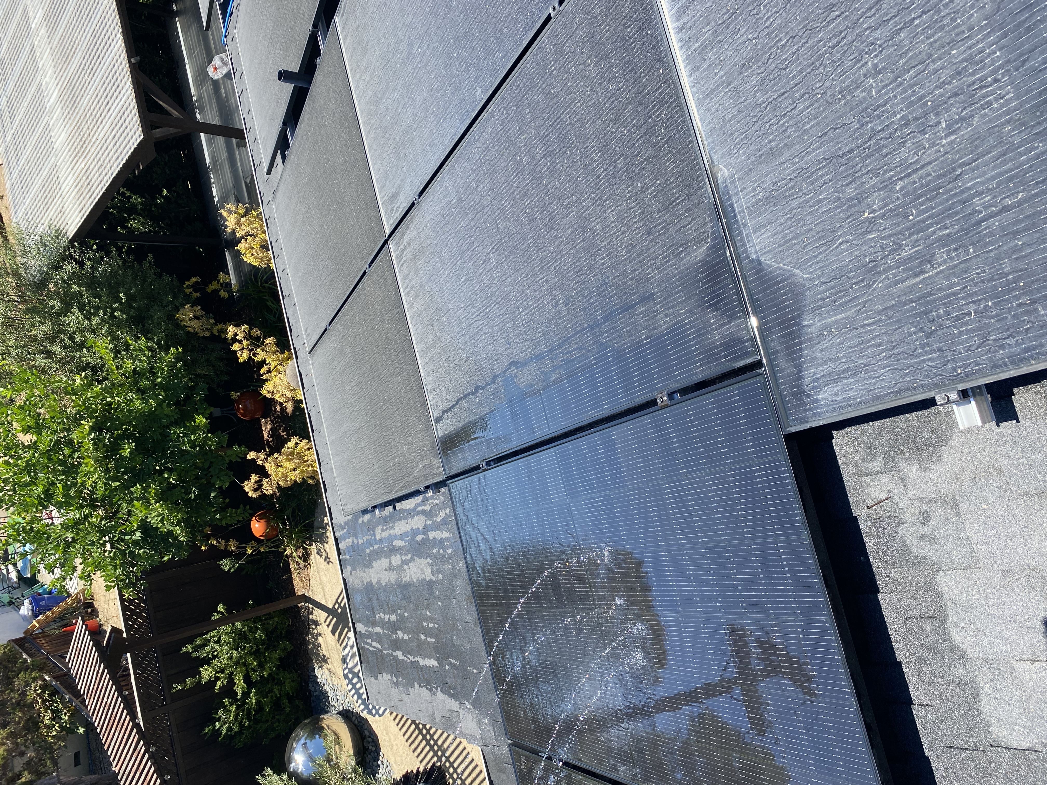 Before — San Jose solar panel row with bird activity and dust before wash