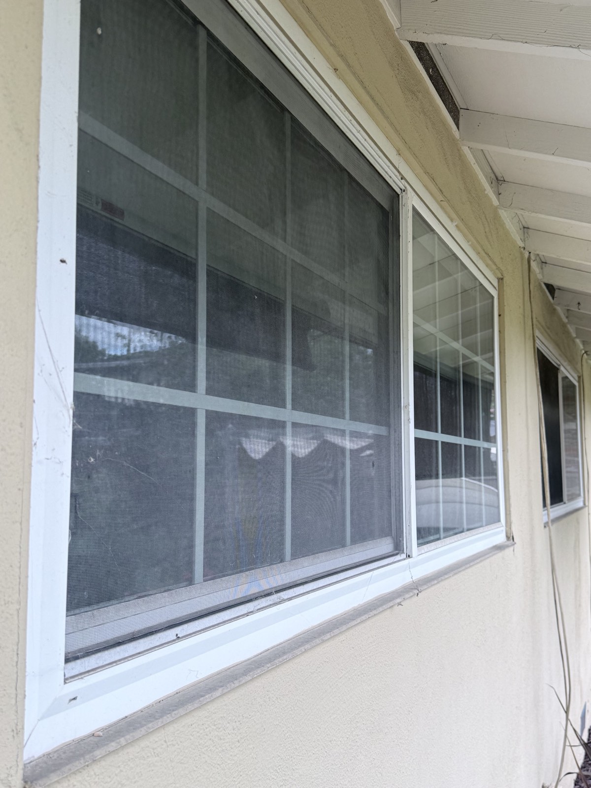 Before — San Jose grid-pane windows with dust-filmed screens and debris on the frames