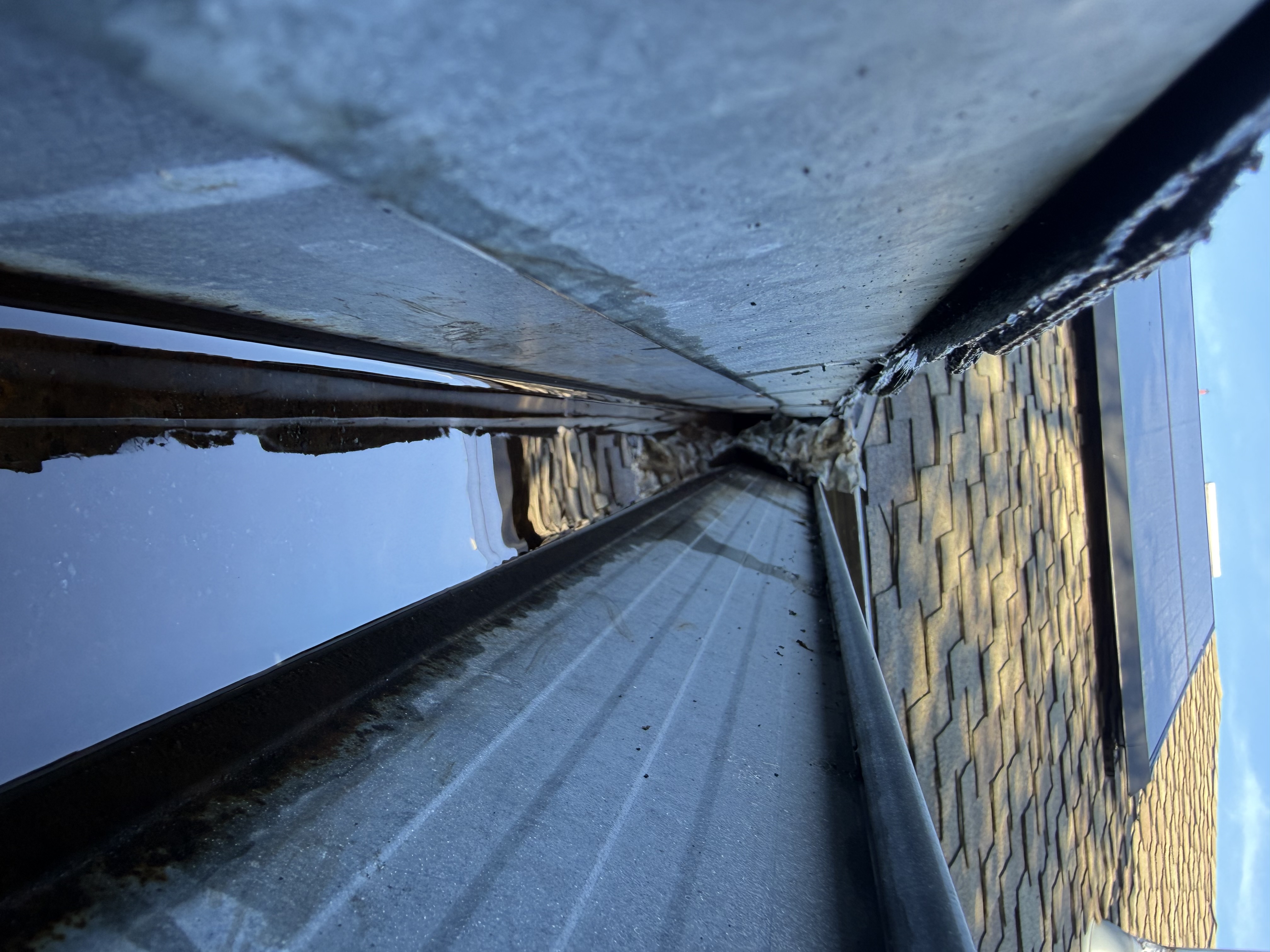 After — San Mateo gutters cleaned, downspout flowing
