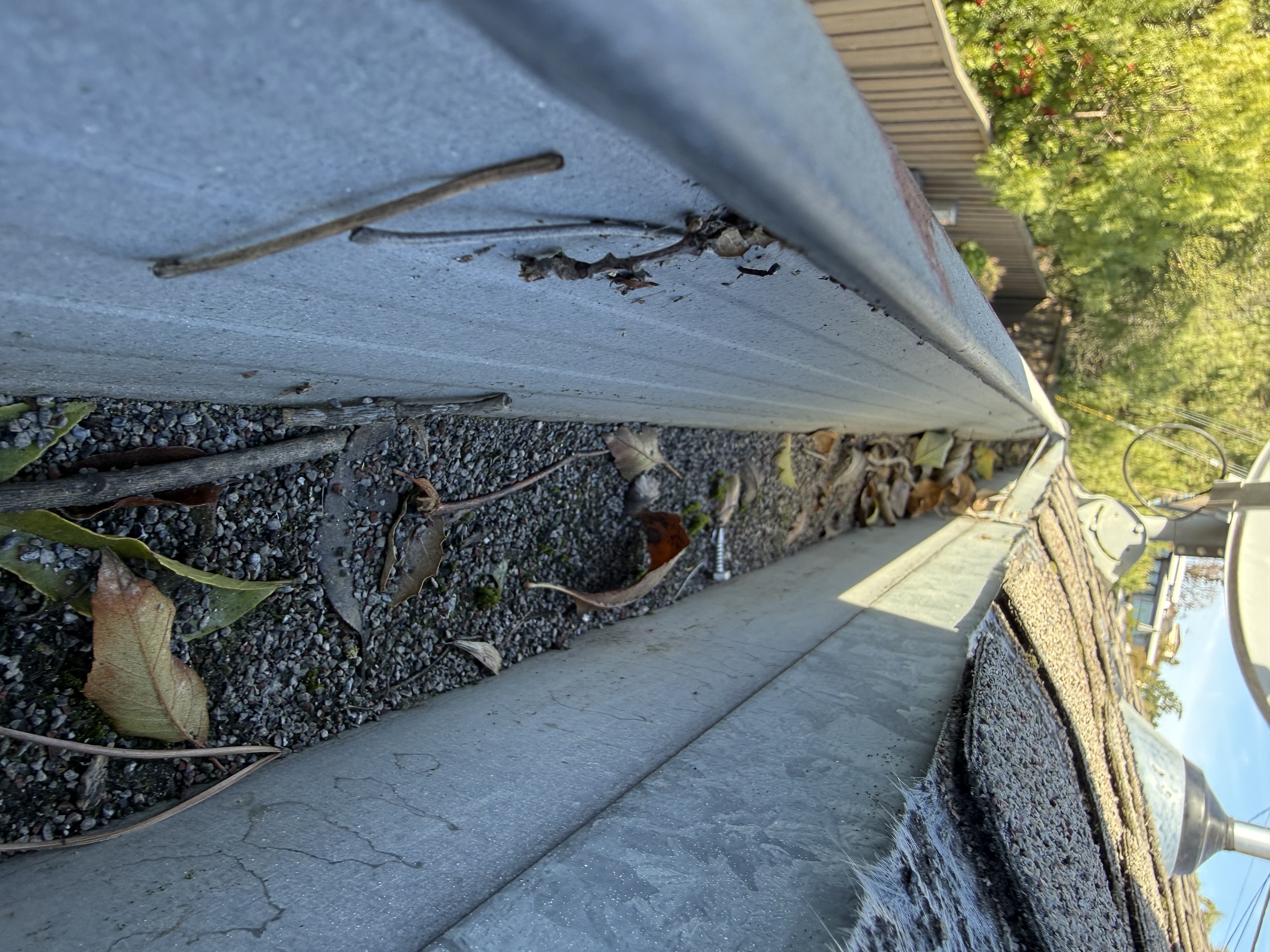 Before — San Mateo gutters packed with debris before cleaning