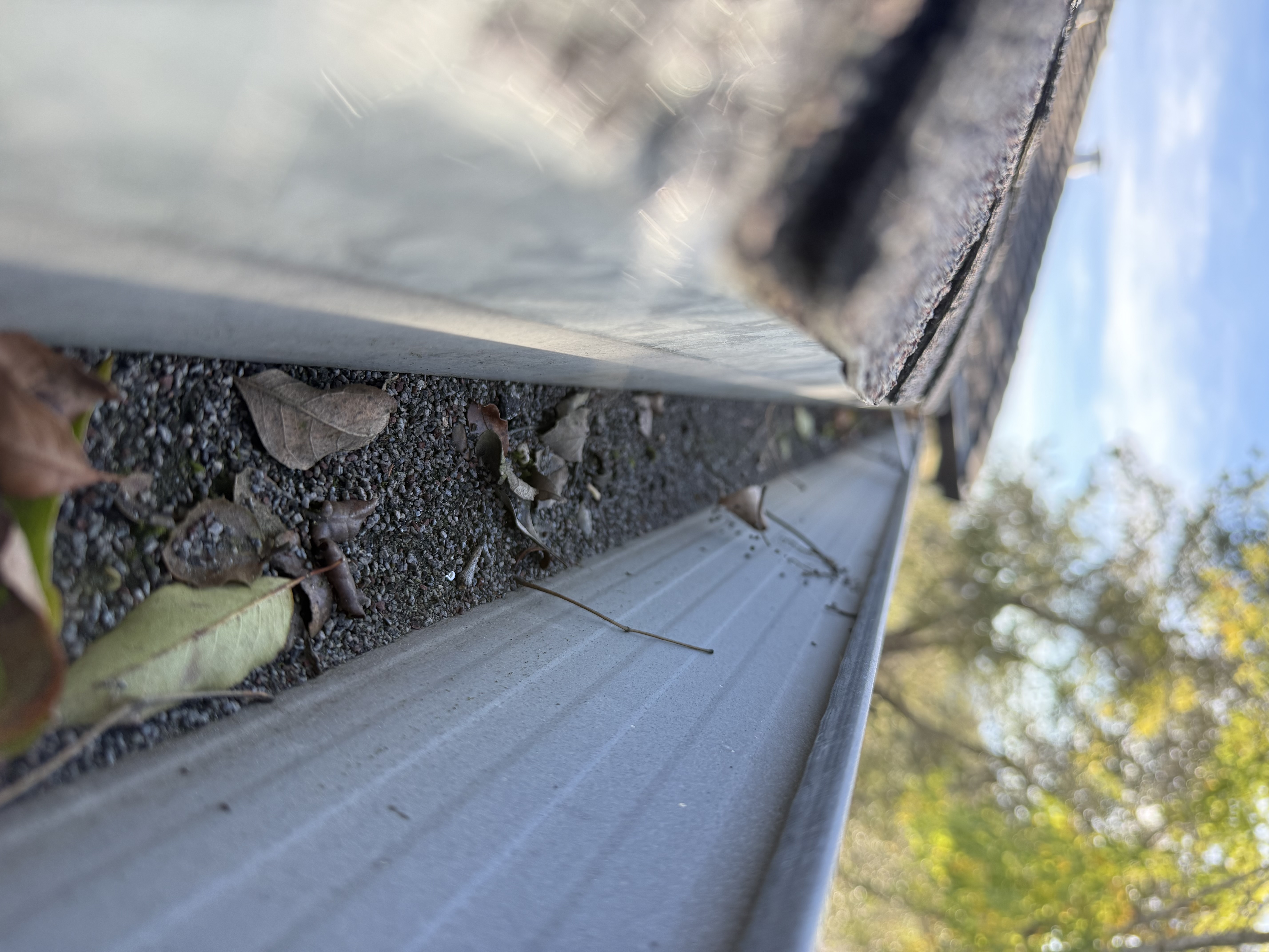 Before — San Mateo gutter trough full of leaves and organic buildup