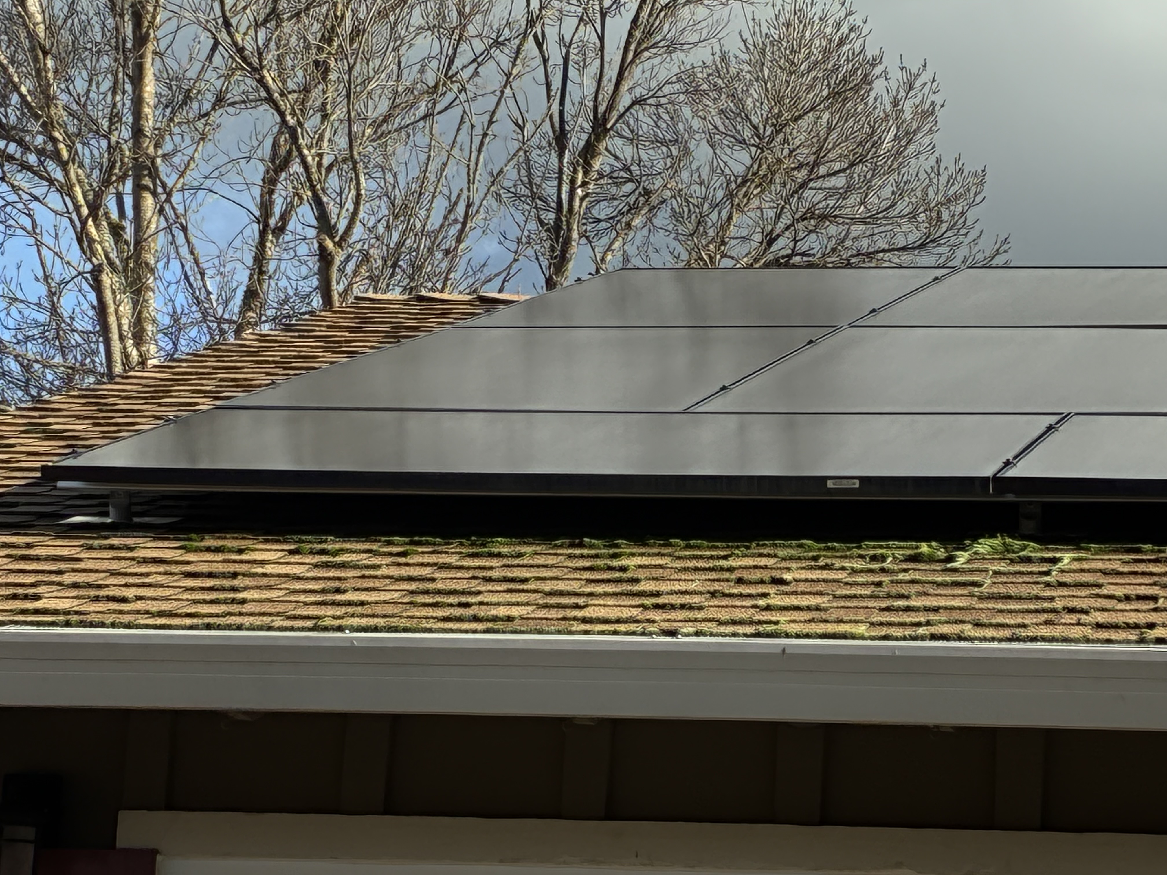 Before — San Ramon asphalt shingle roof with moss and black algae streaks before soft wash