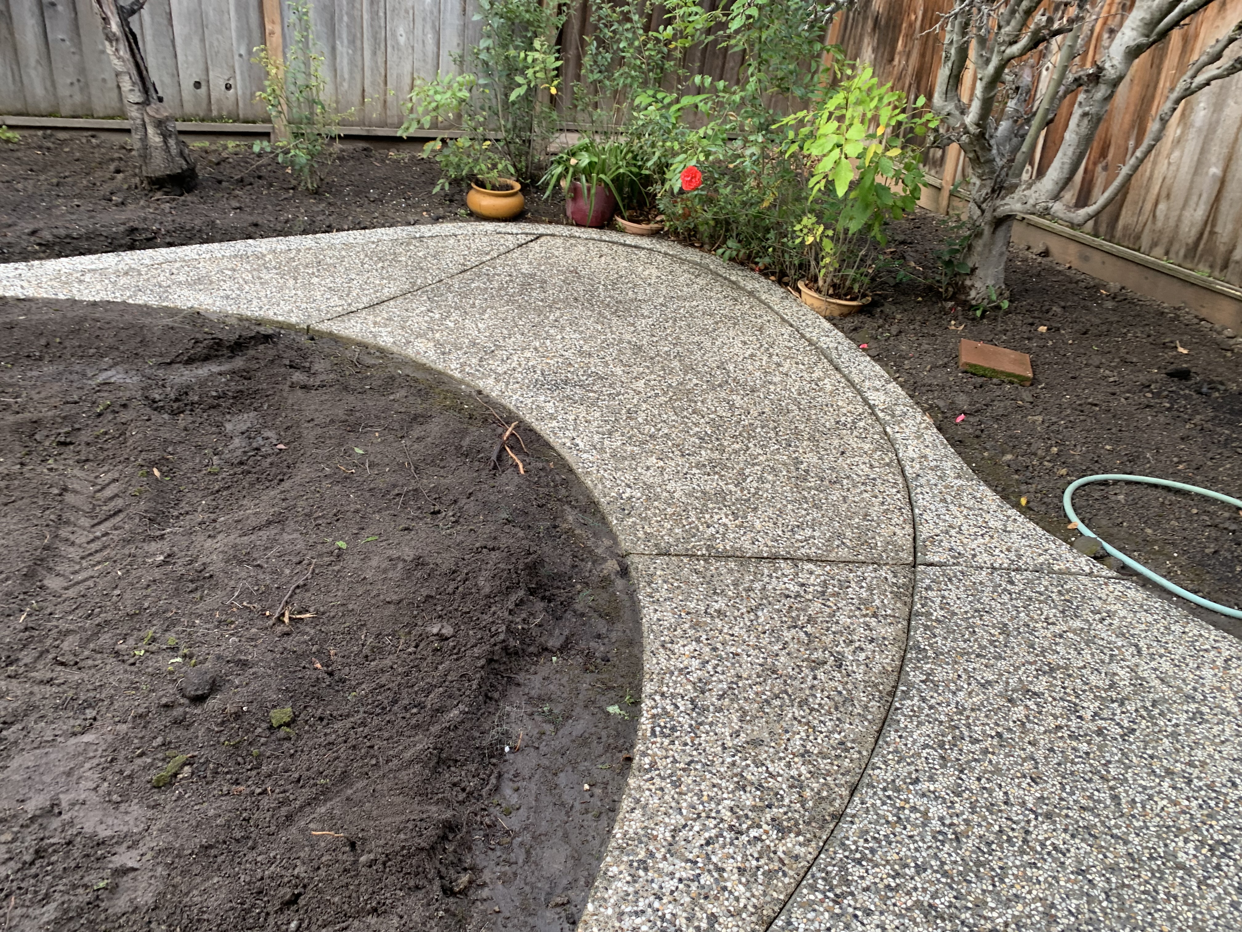 After — Sunnyvale concrete fully cleaned, organic growth eliminated