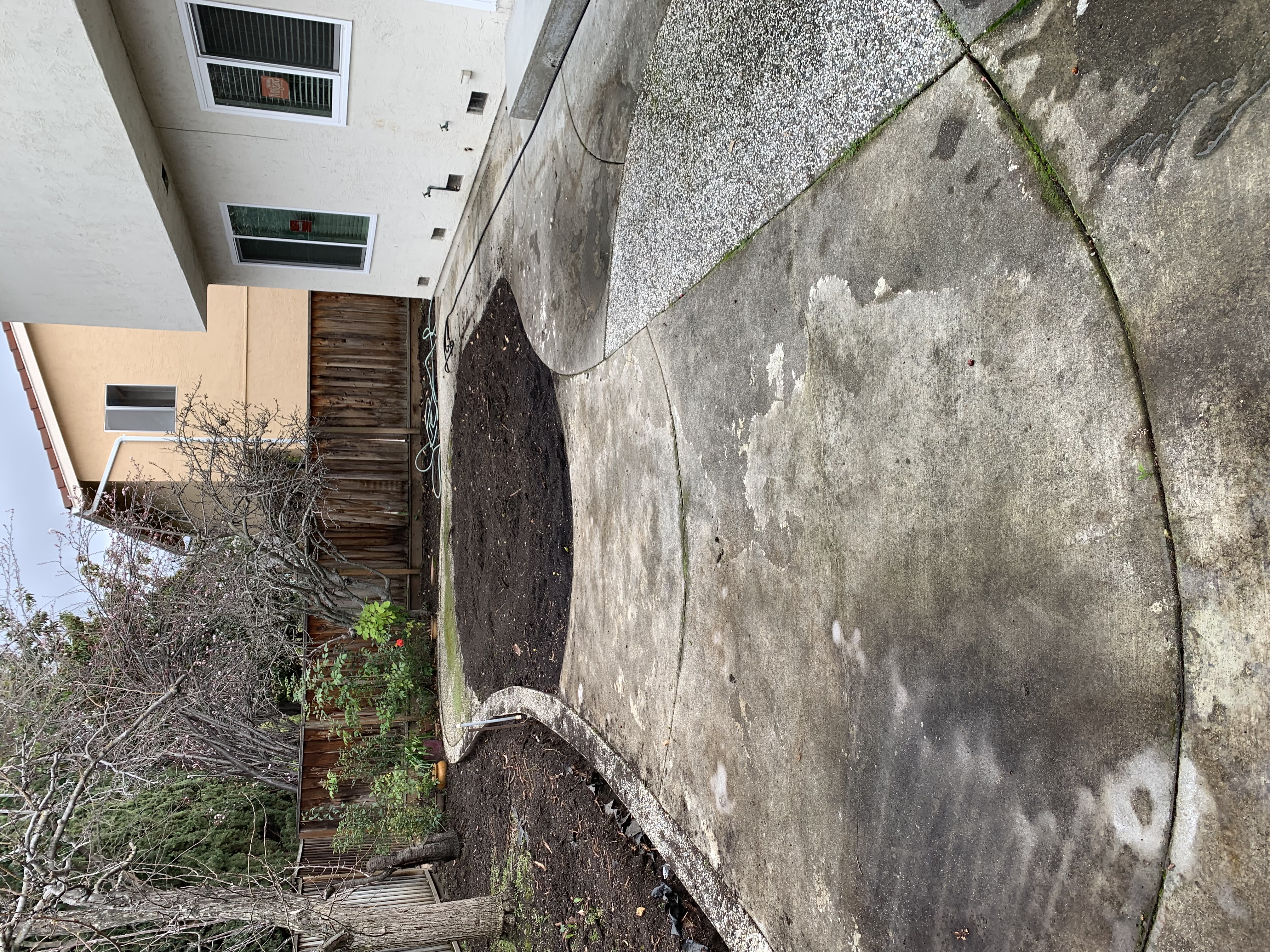 Before — Sunnyvale backyard slab with mold and green staining before wash