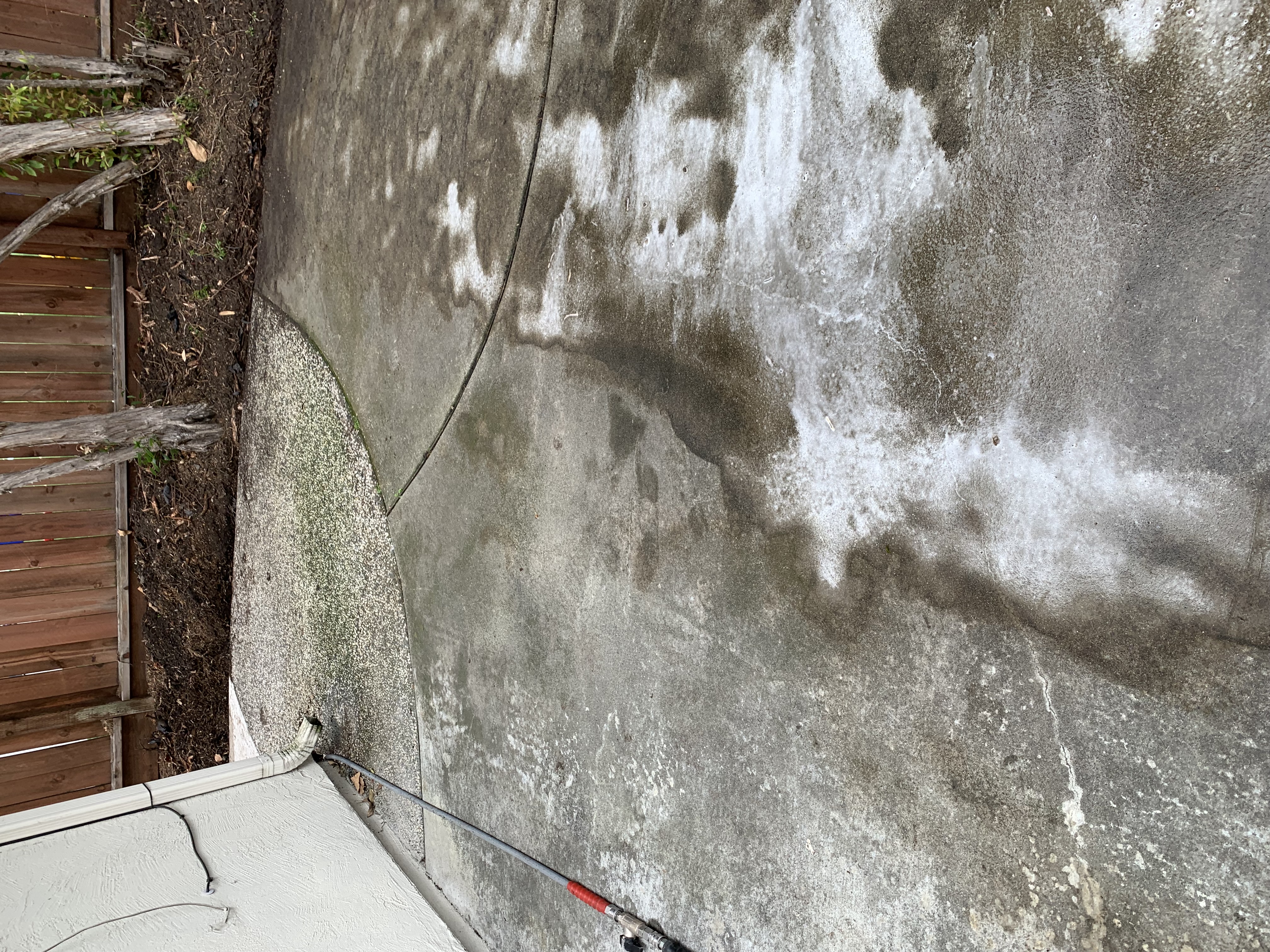 Before — Sunnyvale concrete surface overview with biological growth before service