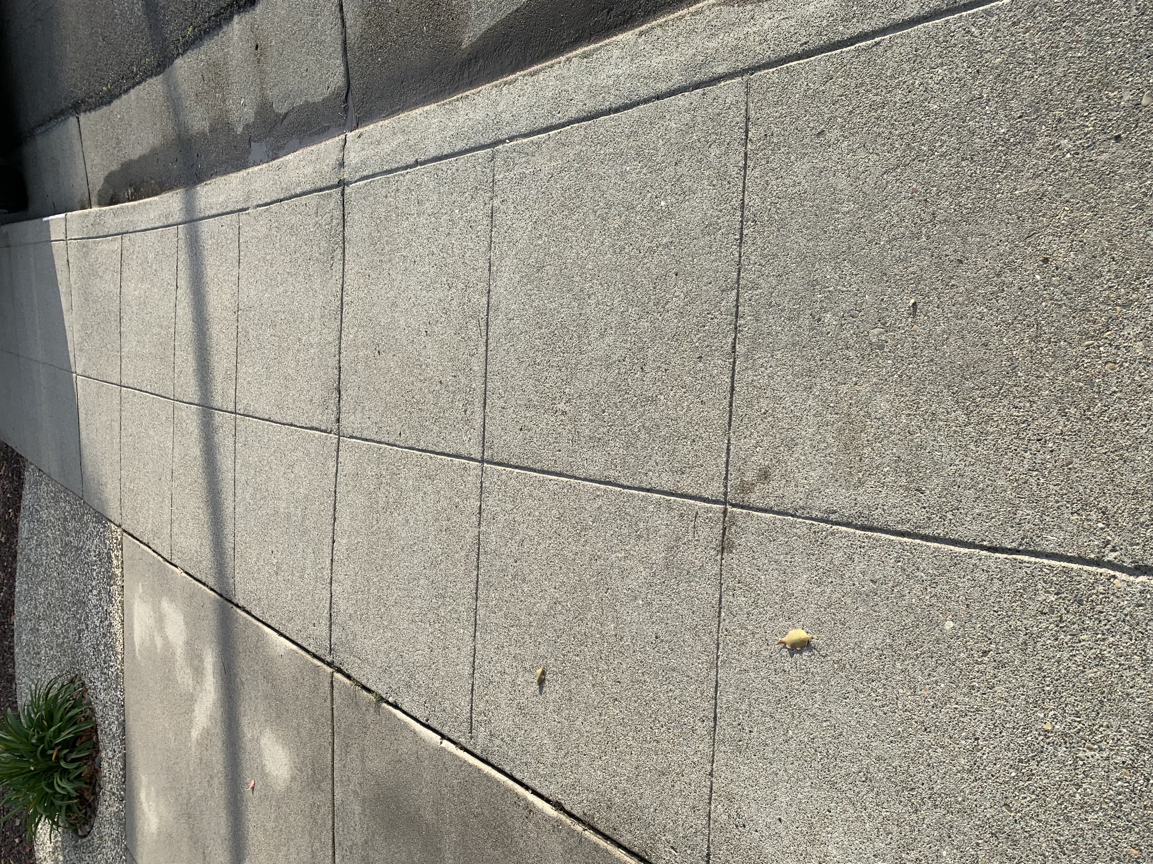 After — Sunnyvale deck and walkway surfaces cleaned and rinsed