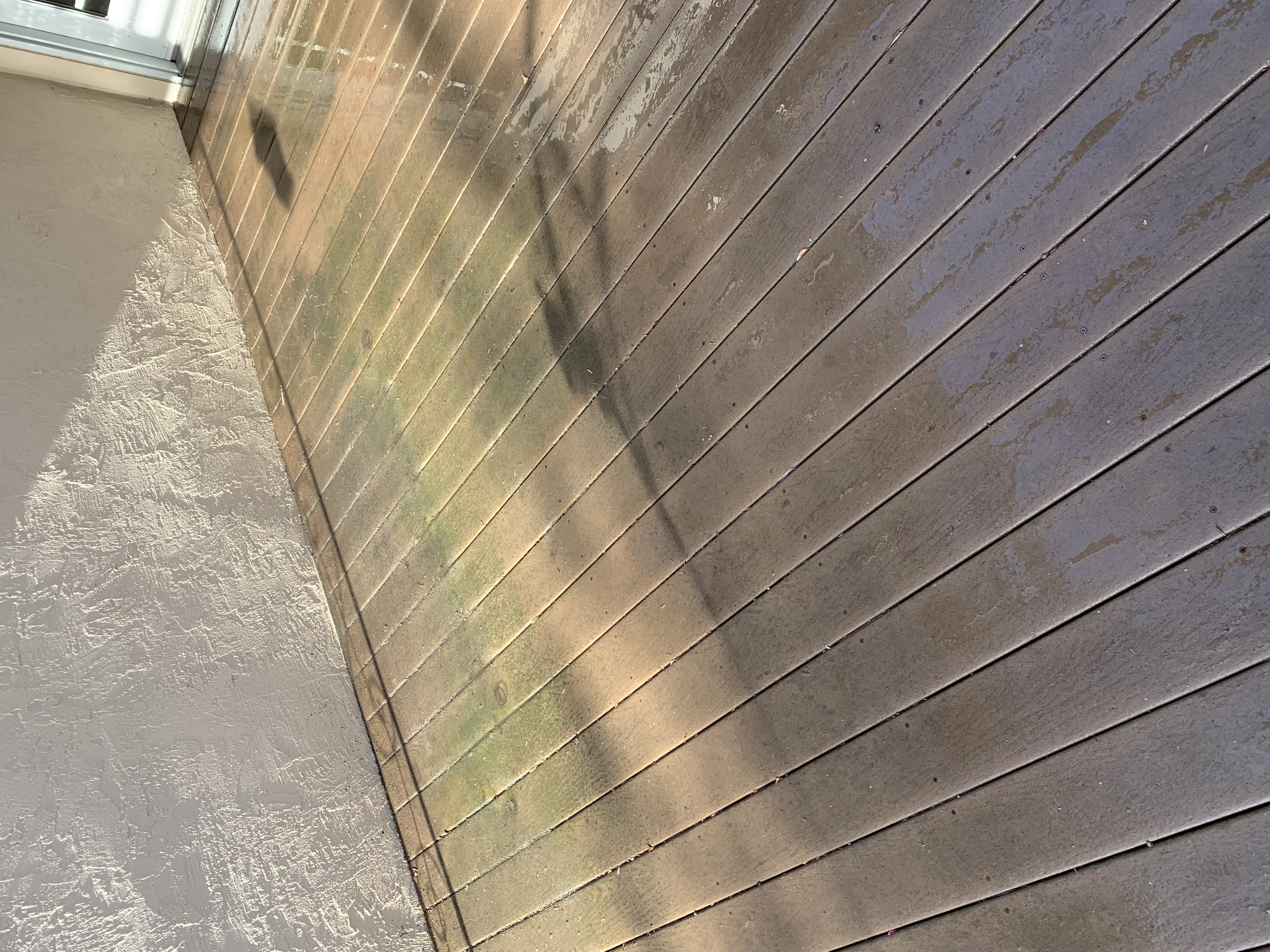 Before — Sunnyvale front walkway with discoloration before pressure wash