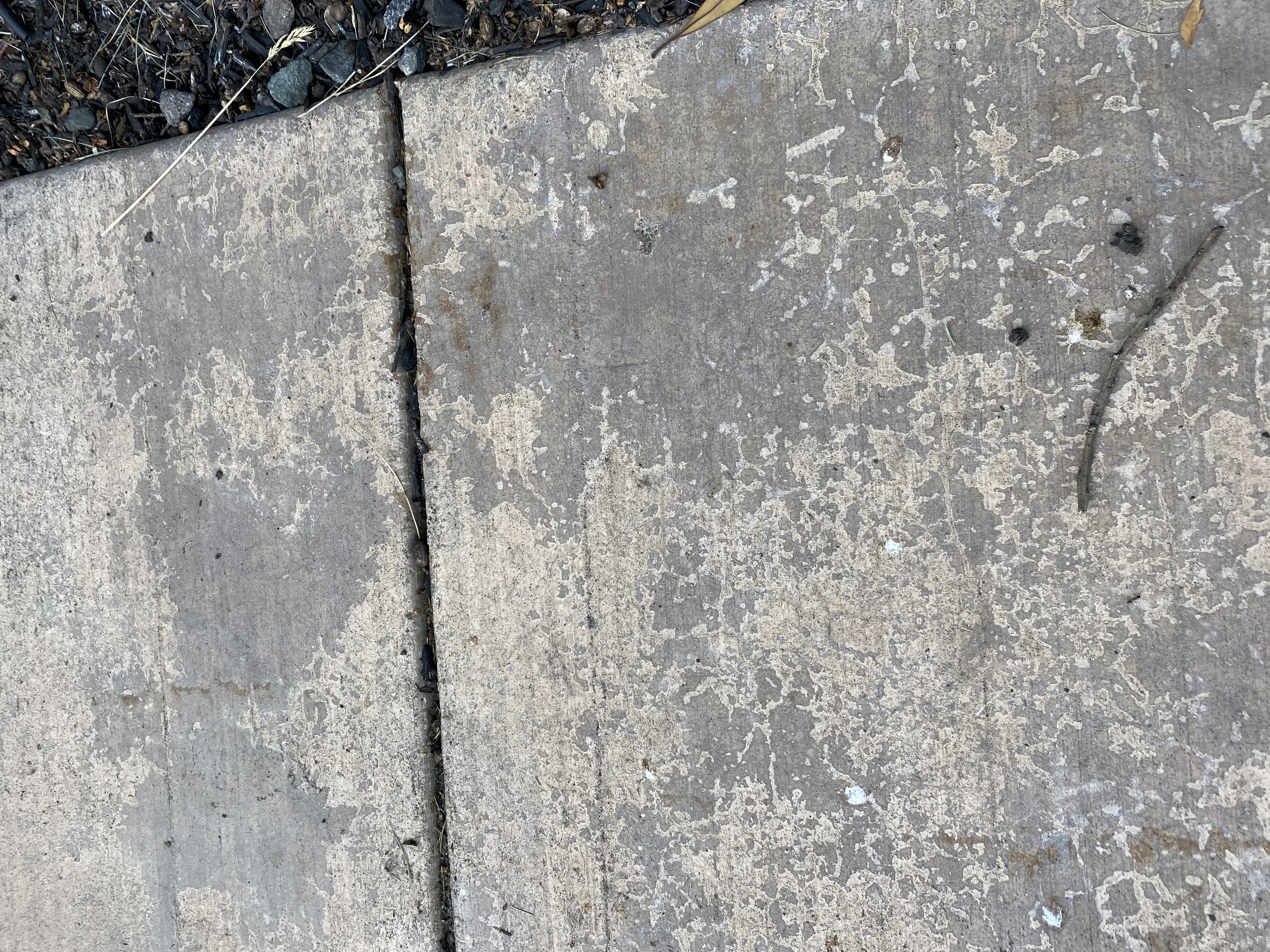 Before — Sunnyvale flagstone surface before pressure wash treatment