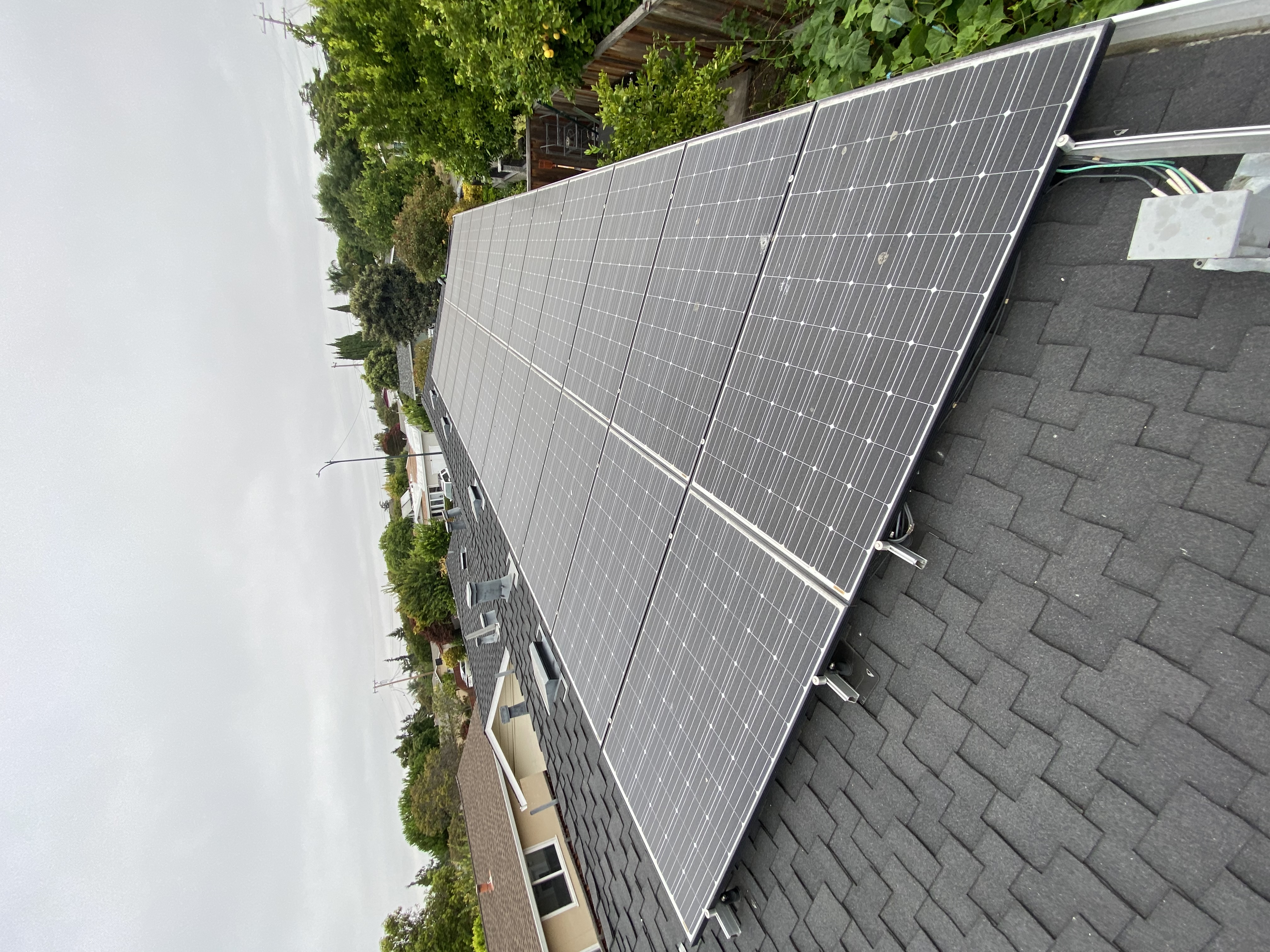 Before — Sunnyvale solar panels with pollen and dust buildup reducing output