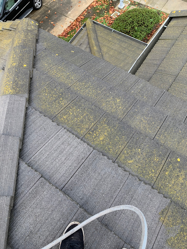 roof washing algae, mold, mildew, moss, grit and grime. We pressure wash or softwash depending on surface. 