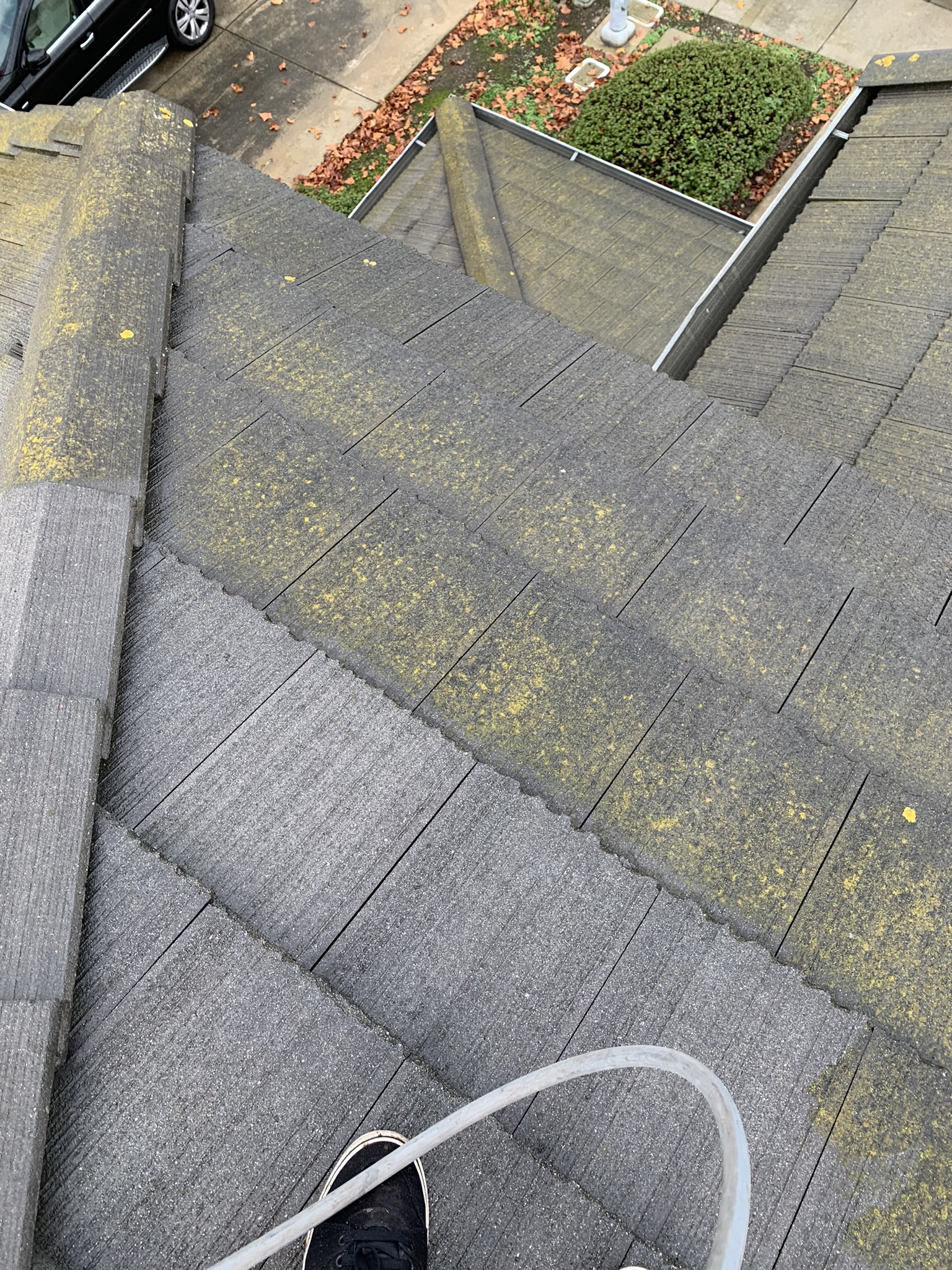 Roof cleaning service in Milpitas CA — algae, lichen and moss removal from asphalt shingles by Bull Run Exterior Wash LLC